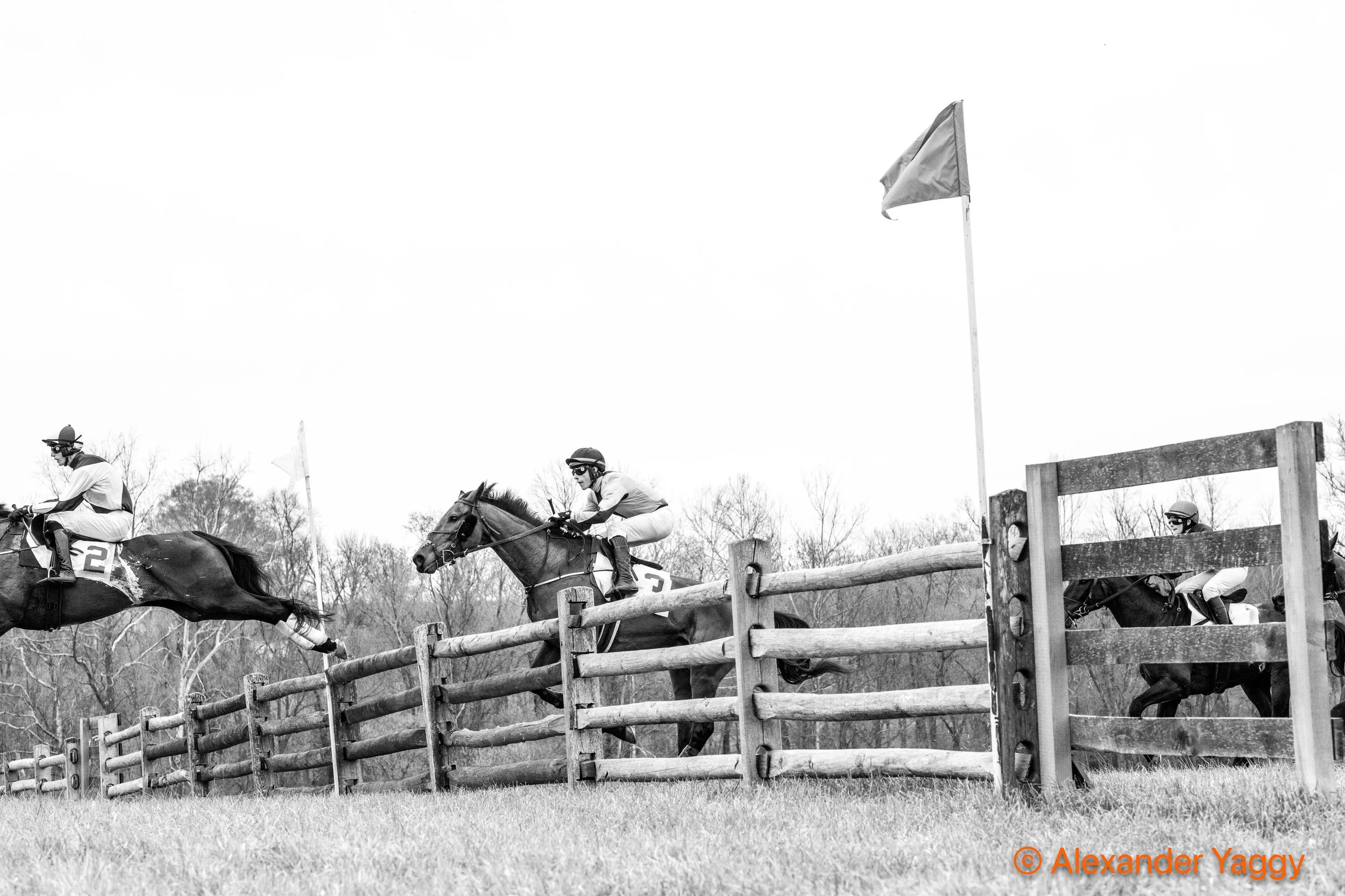 Grand National 2025-3-2.jpg