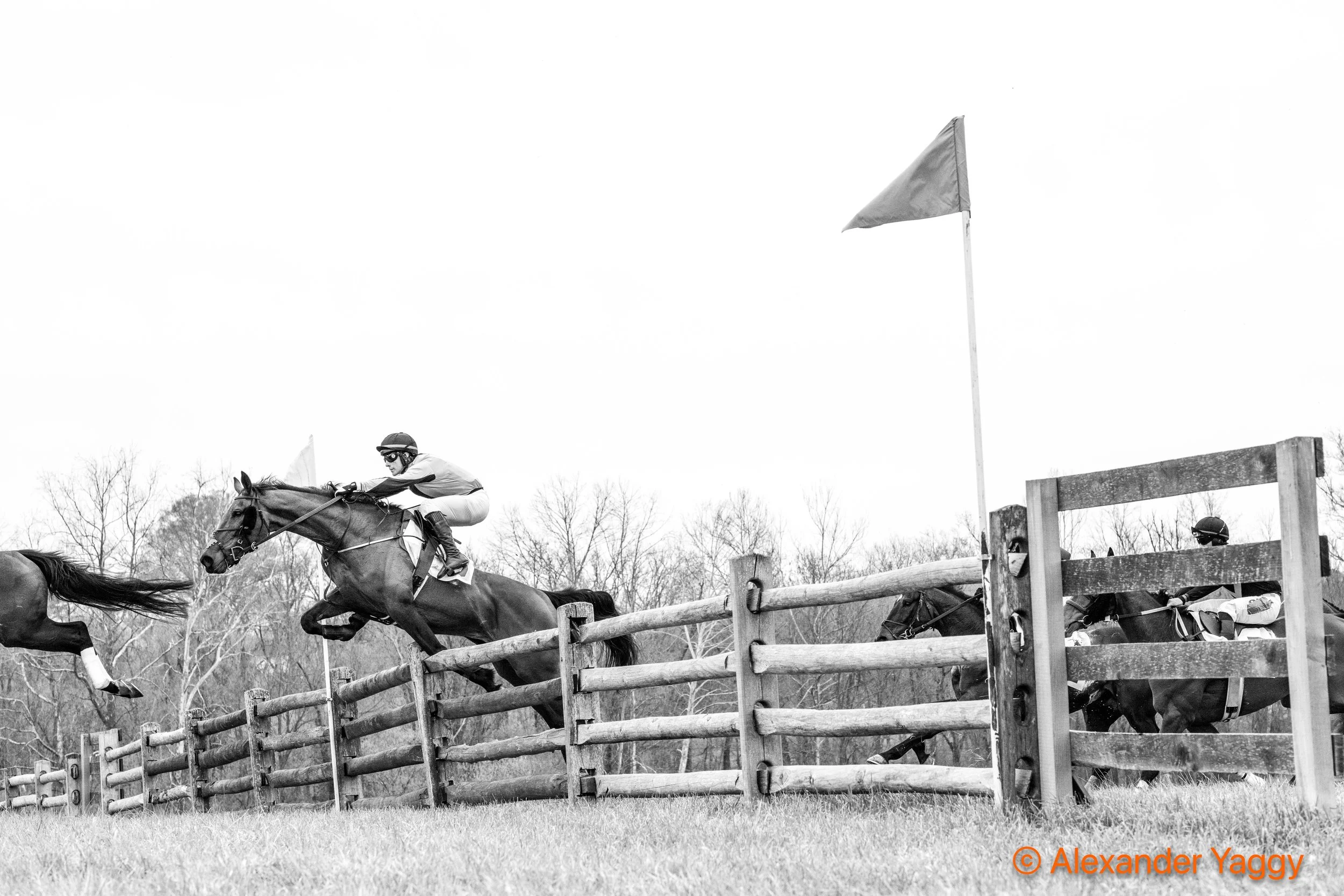 Grand National 2025-4-2.jpg