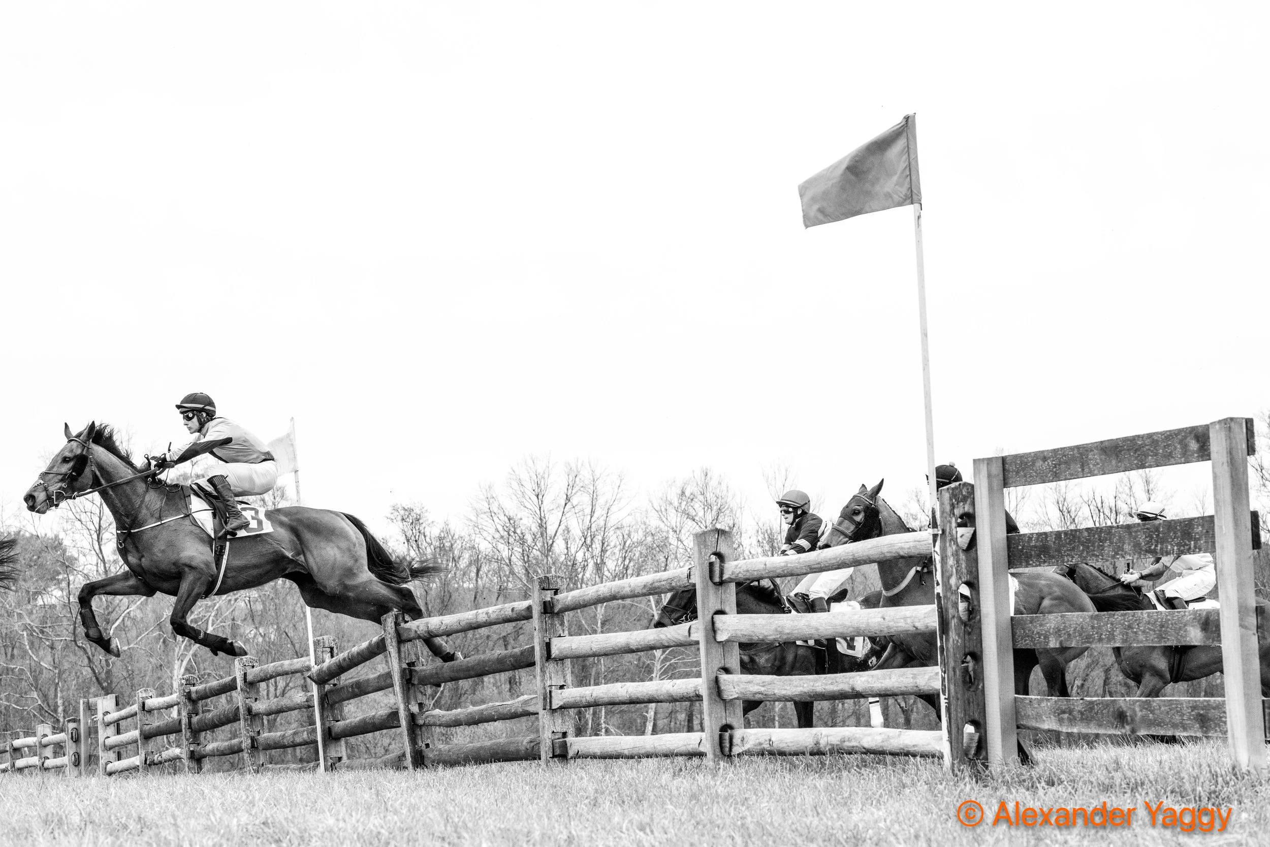 Grand National 2025-5-2.jpg