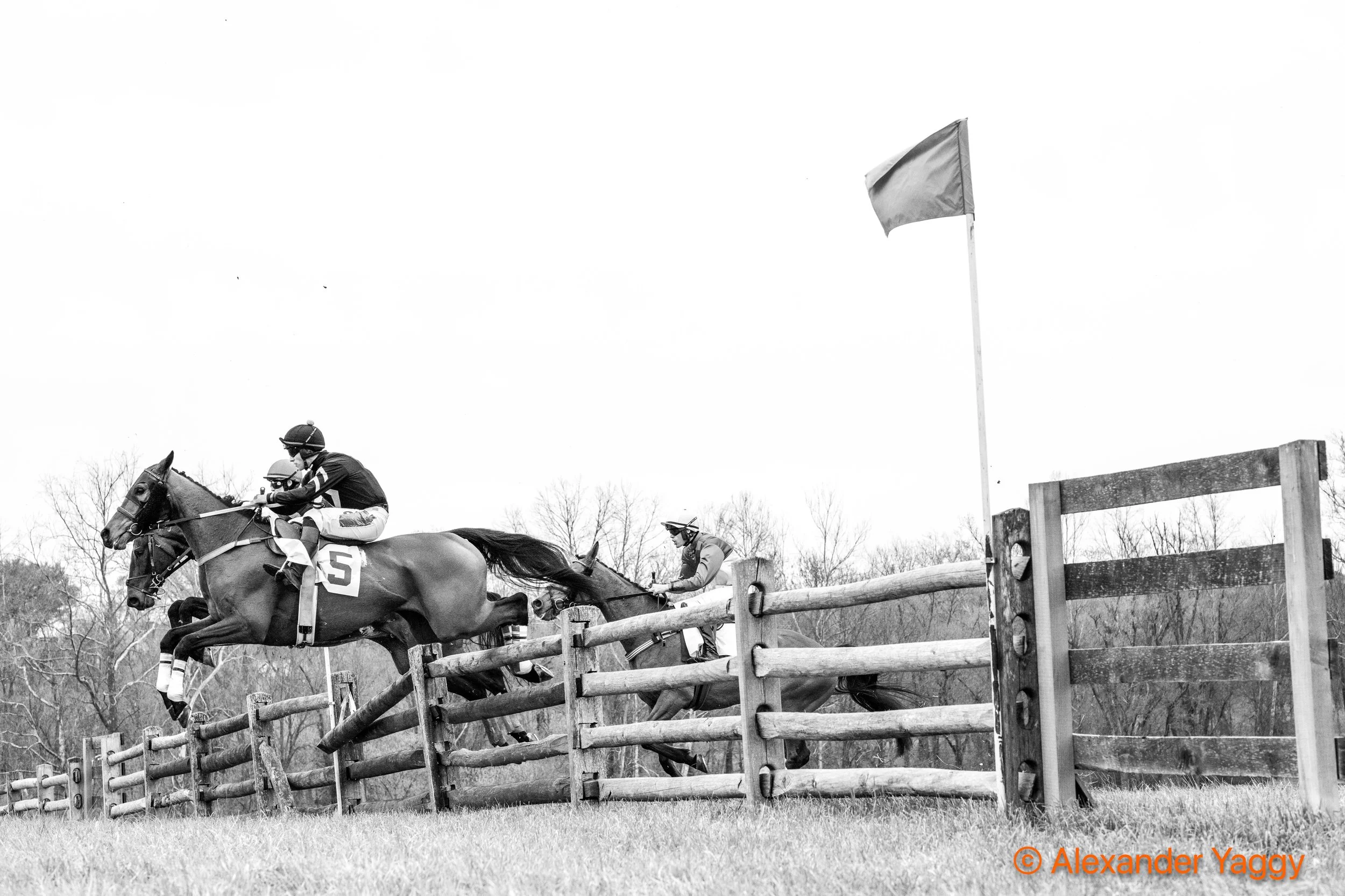 Grand National 2025-7-2.jpg