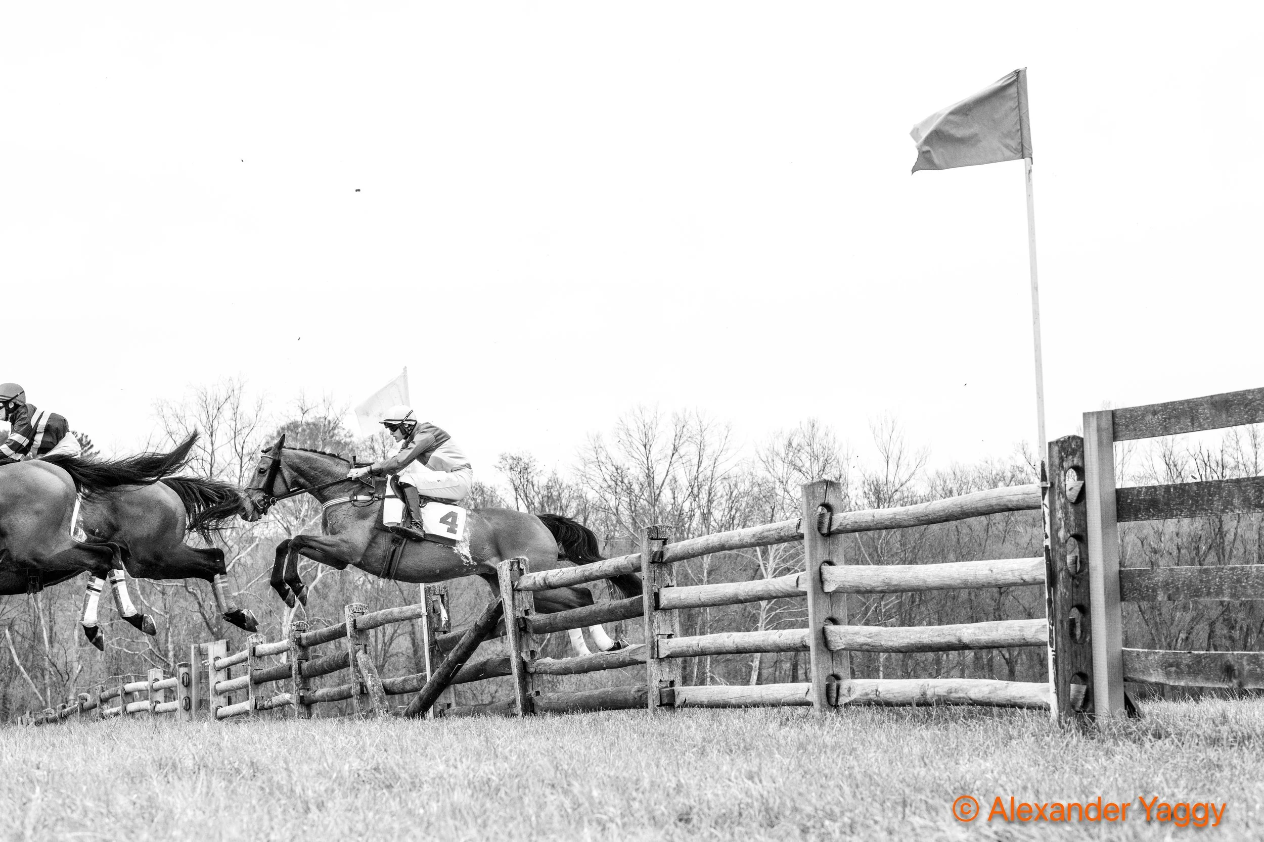 Grand National 2025-8-2.jpg