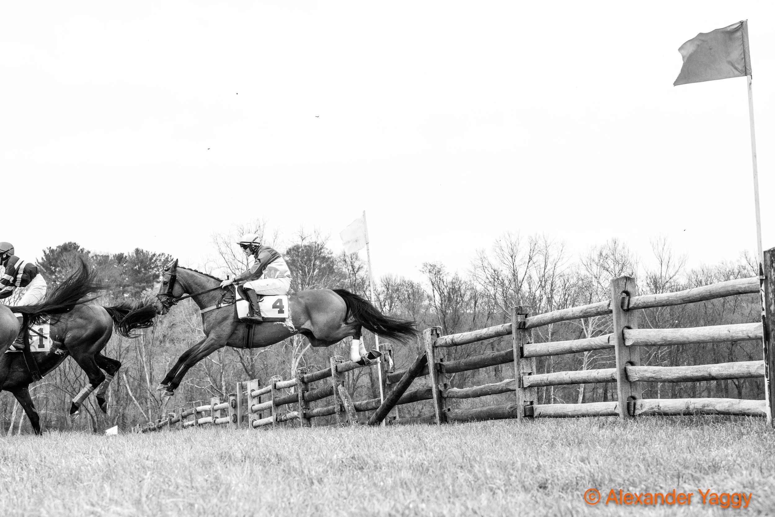 Grand National 2025-9-2.jpg