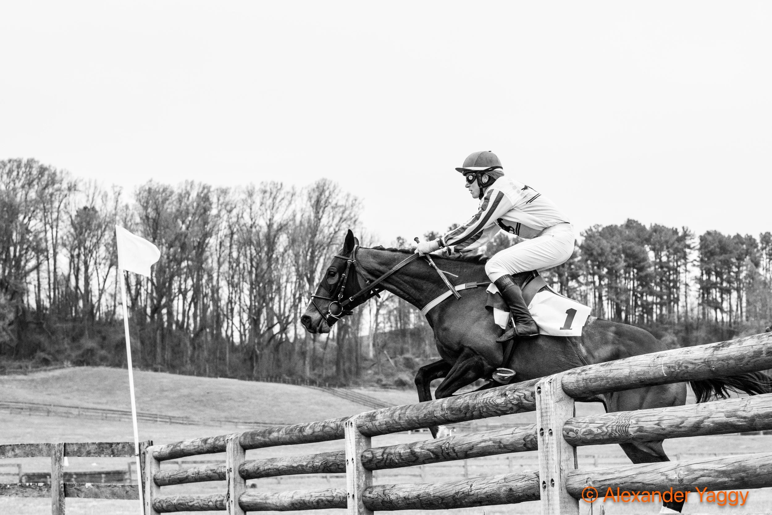 Grand National 2025-23.jpg