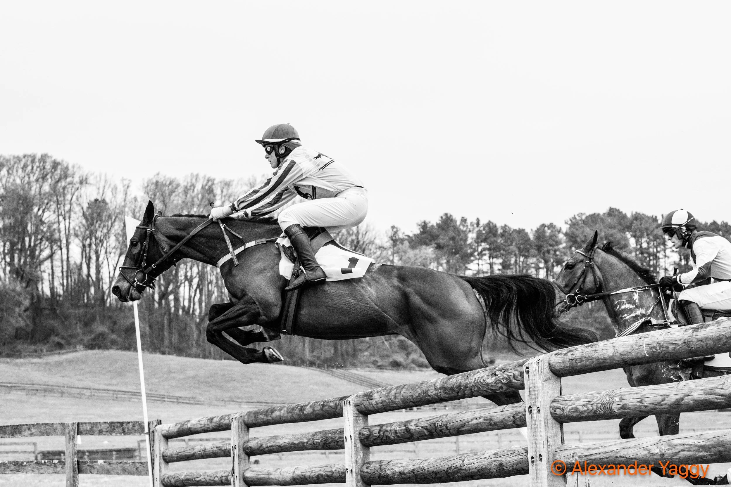 Grand National 2025-24.jpg