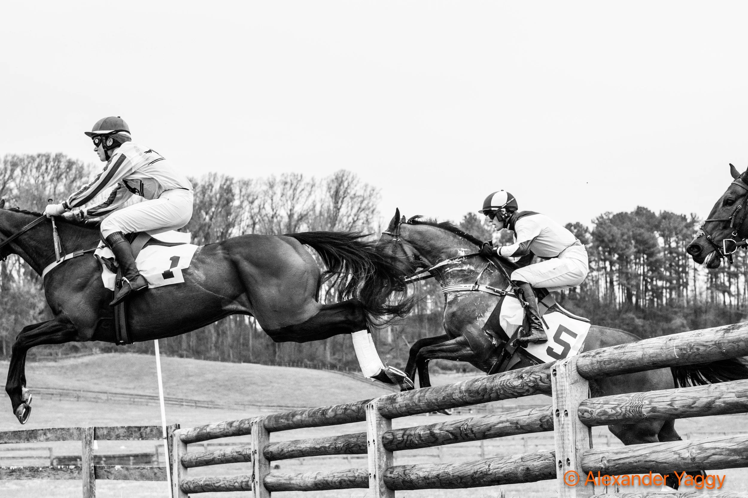 Grand National 2025-25.jpg