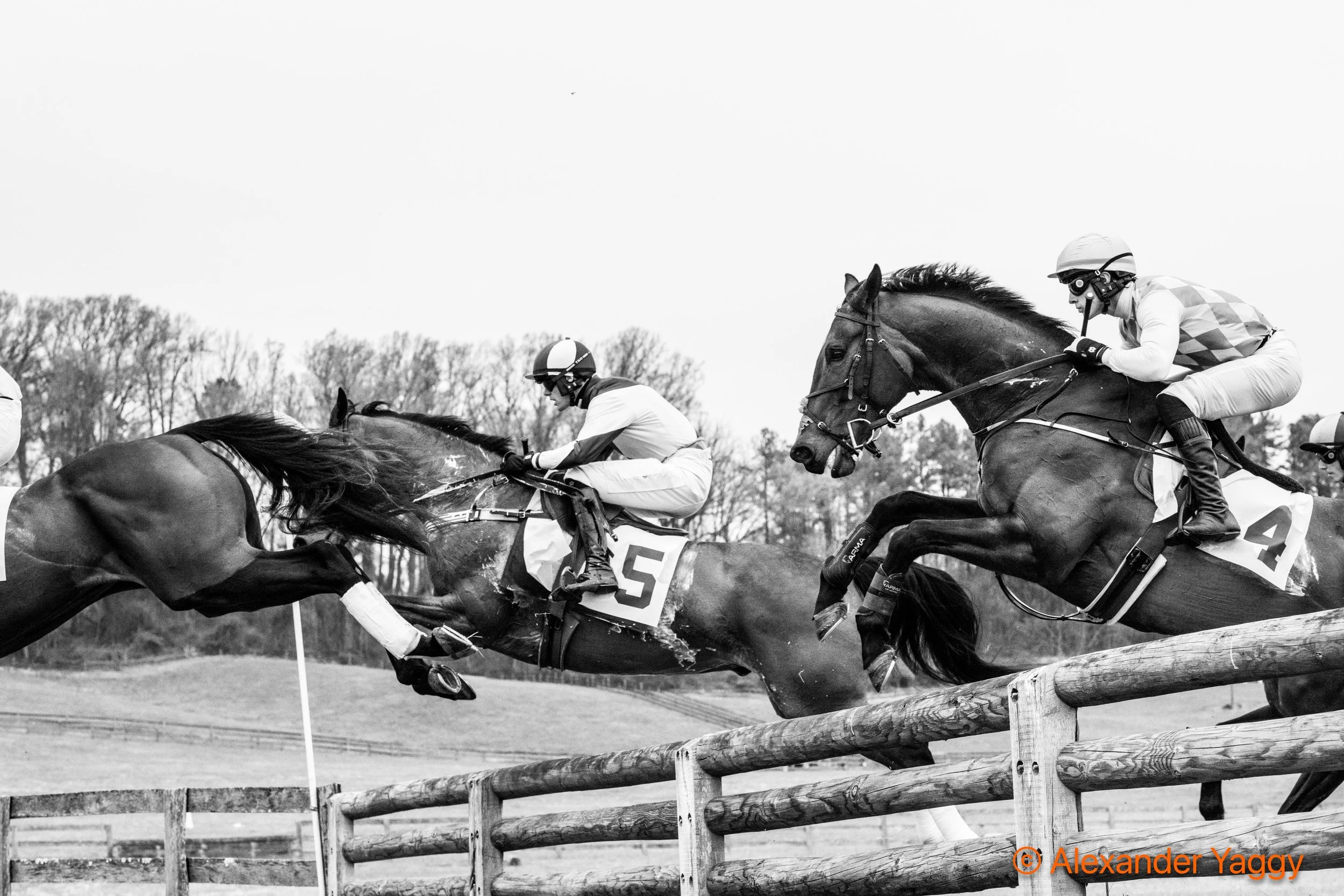 Grand National 2025-26.jpg