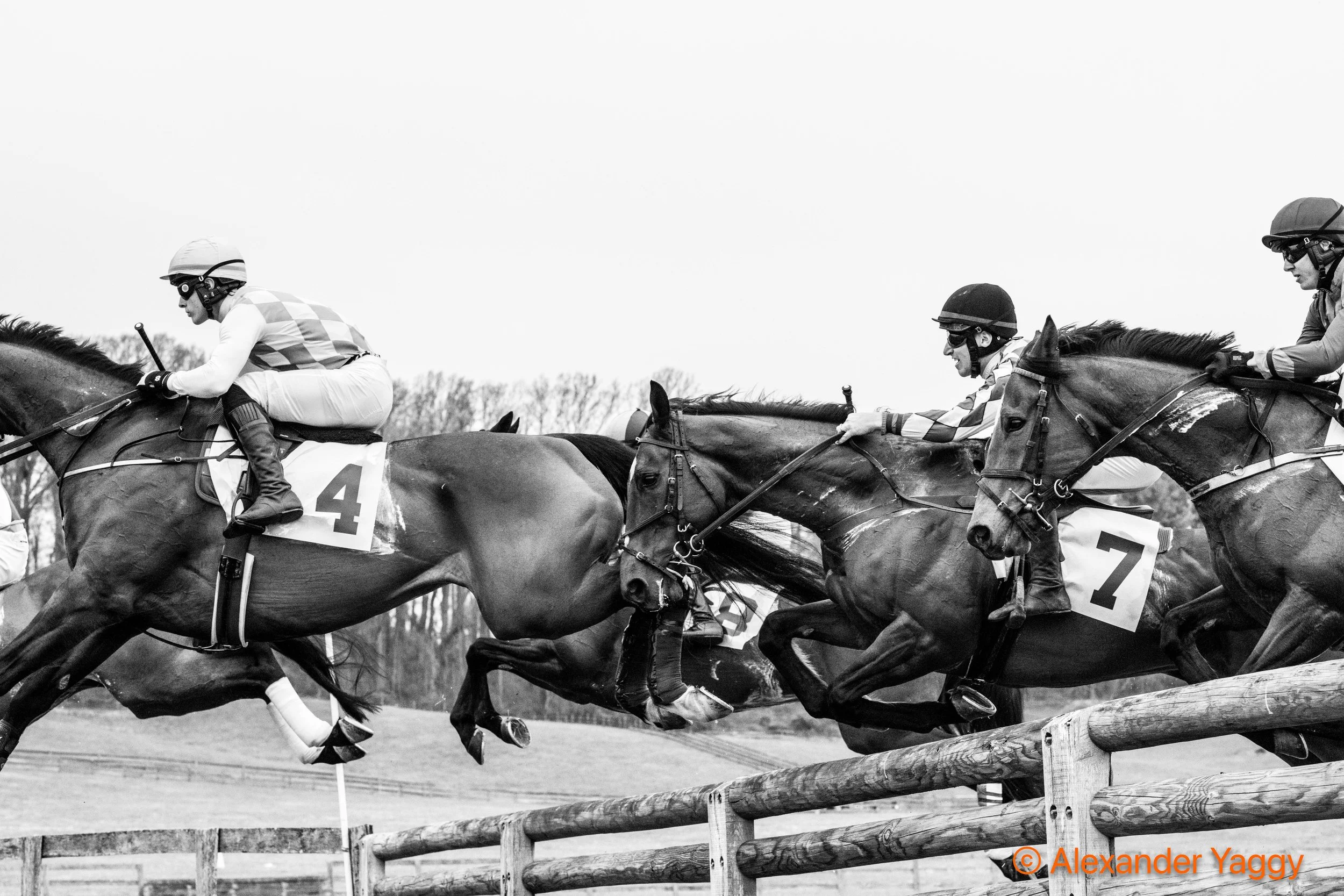 Grand National 2025-29.jpg