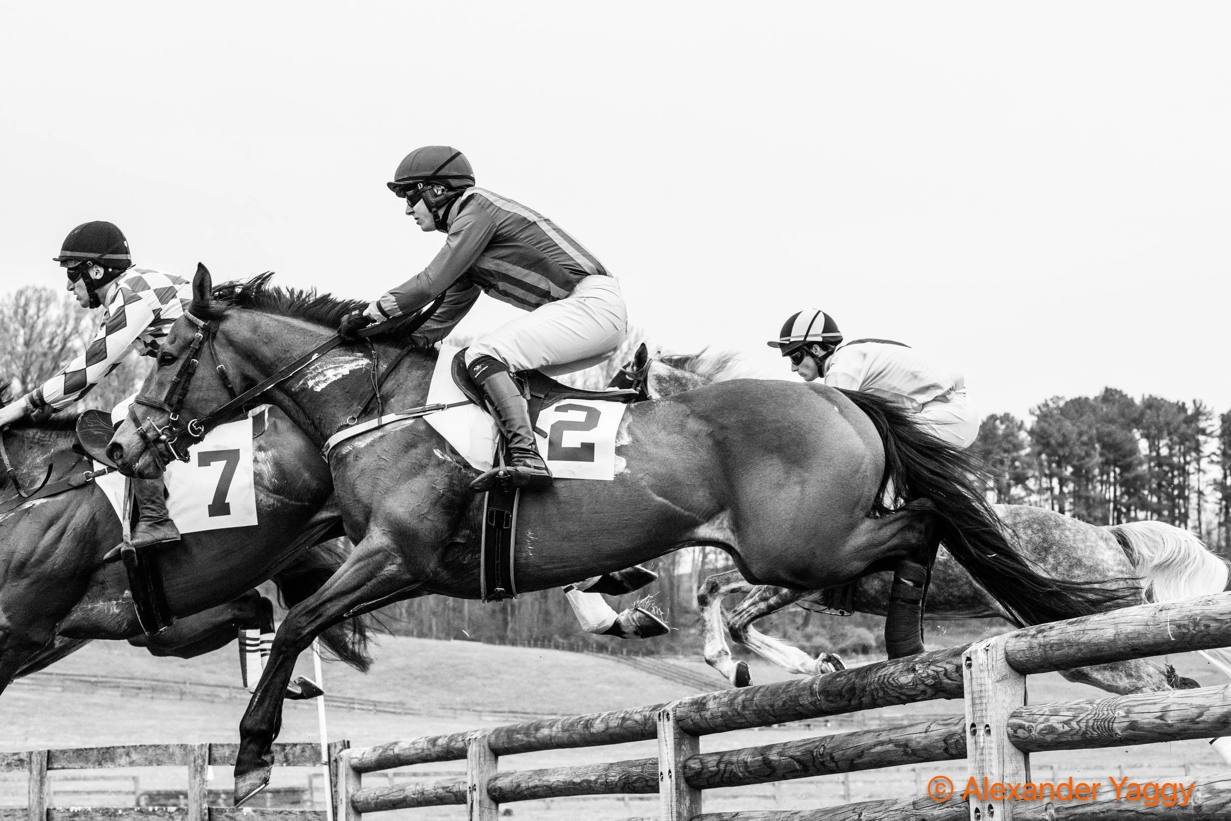 Grand National 2025-31.jpg