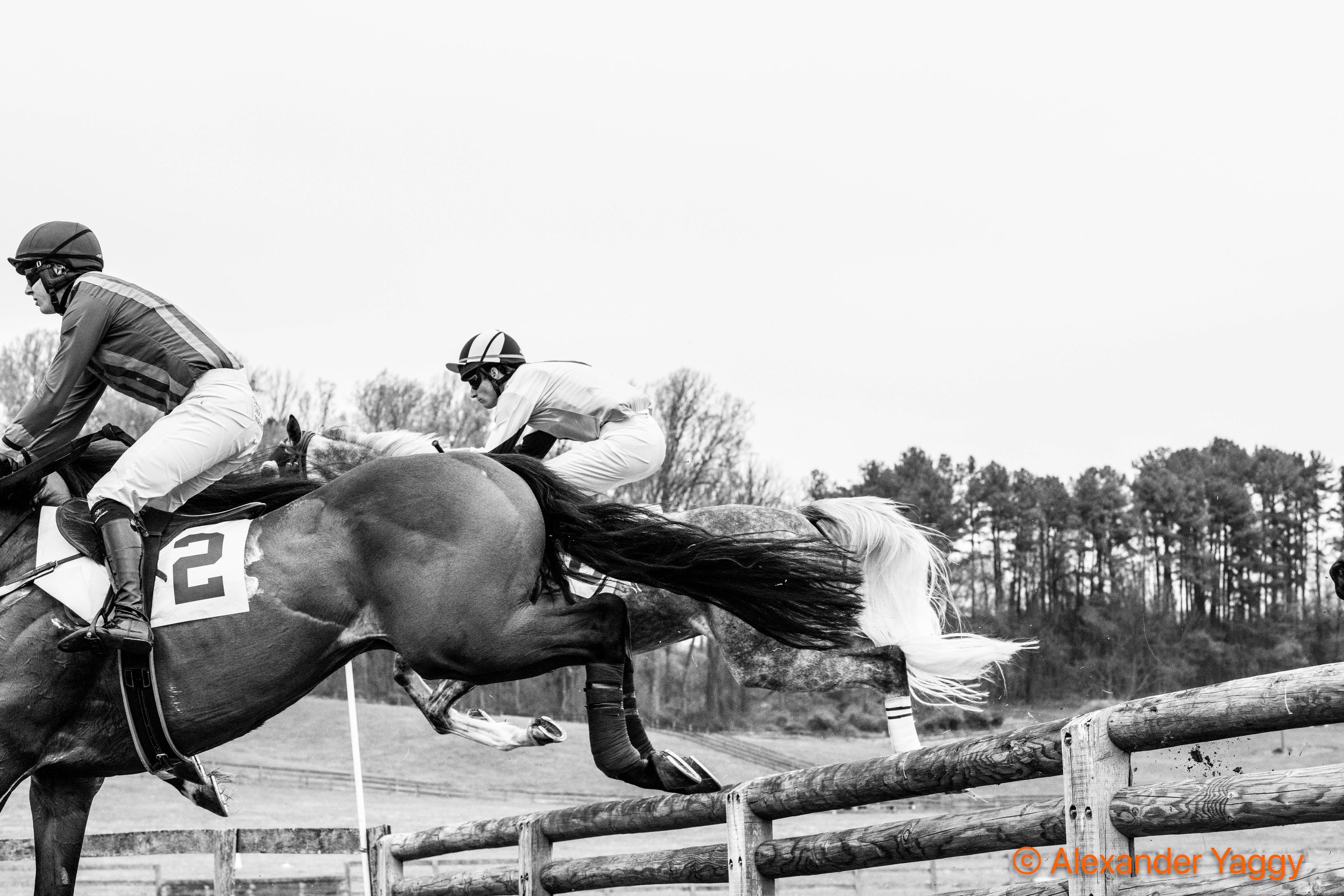 Grand National 2025-32.jpg