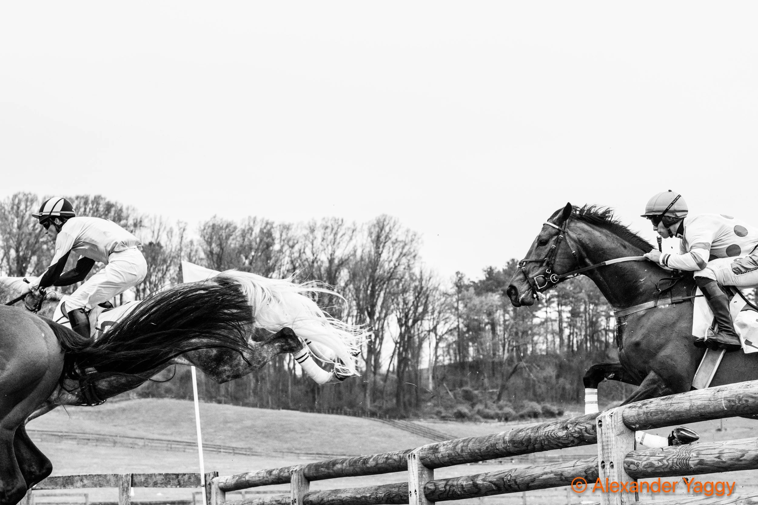 Grand National 2025-33.jpg