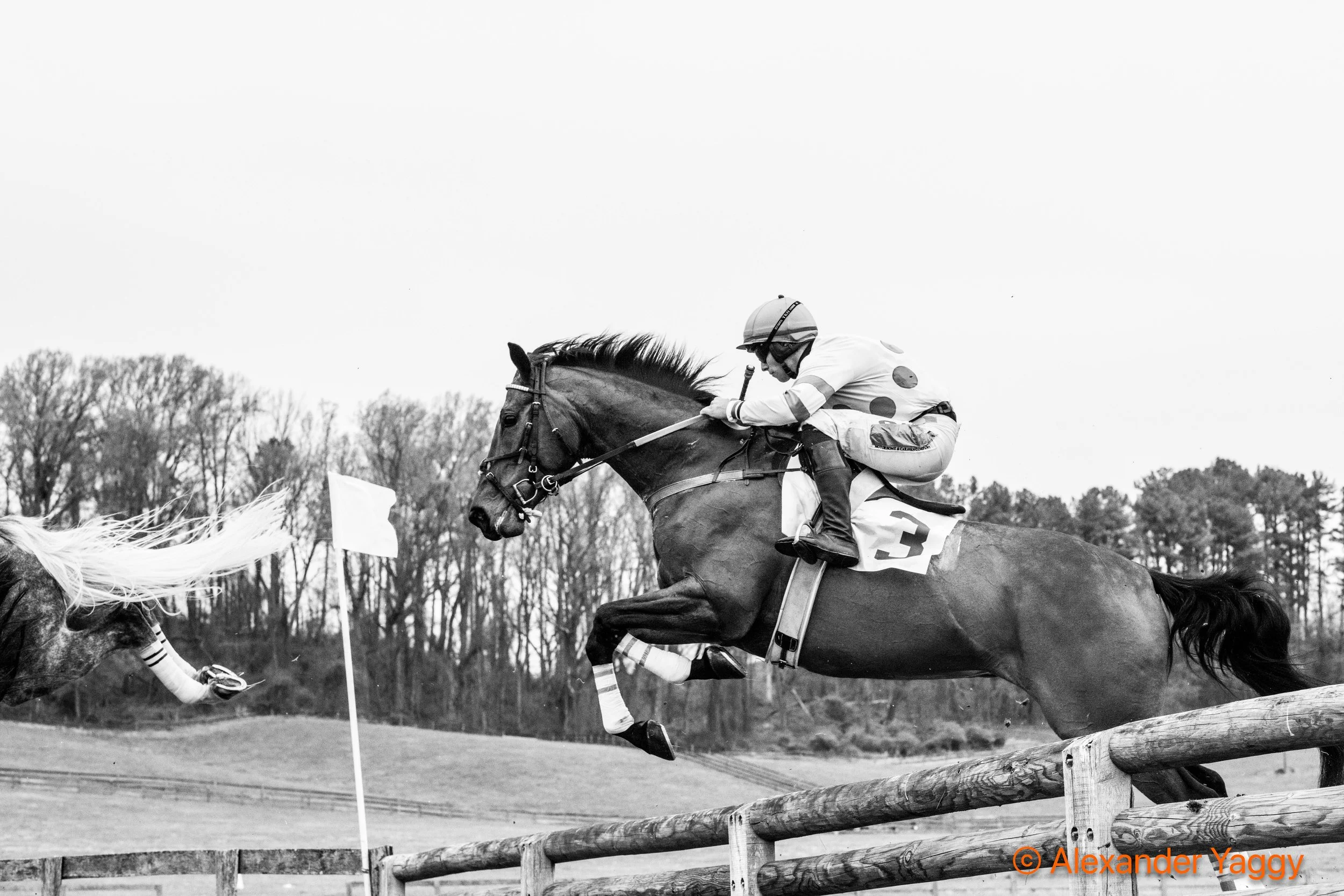 Grand National 2025-34.jpg