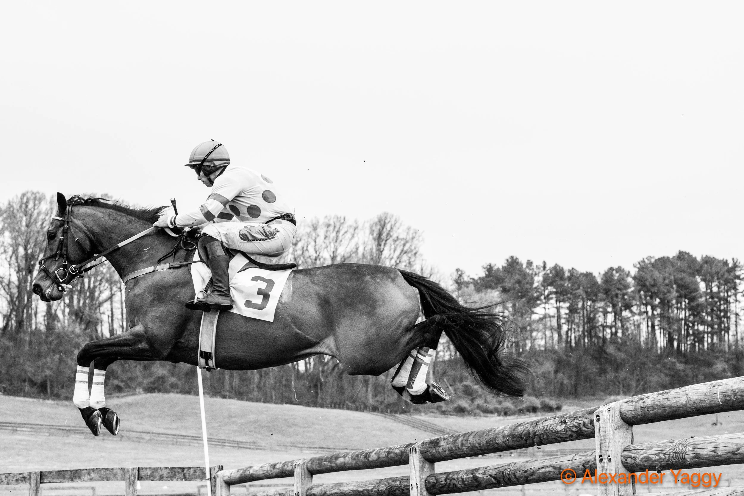 Grand National 2025-35.jpg