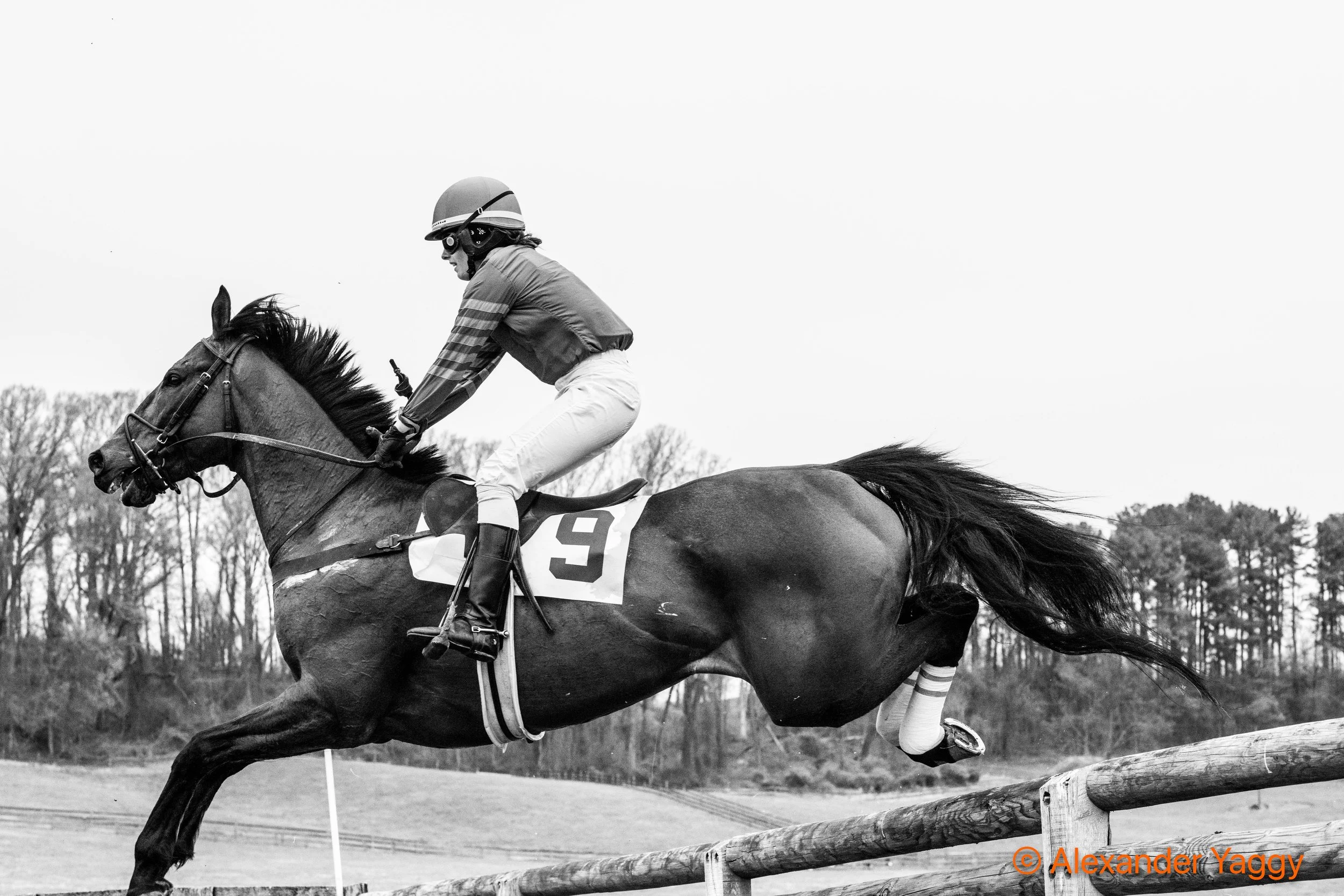 Grand National 2025-37.jpg