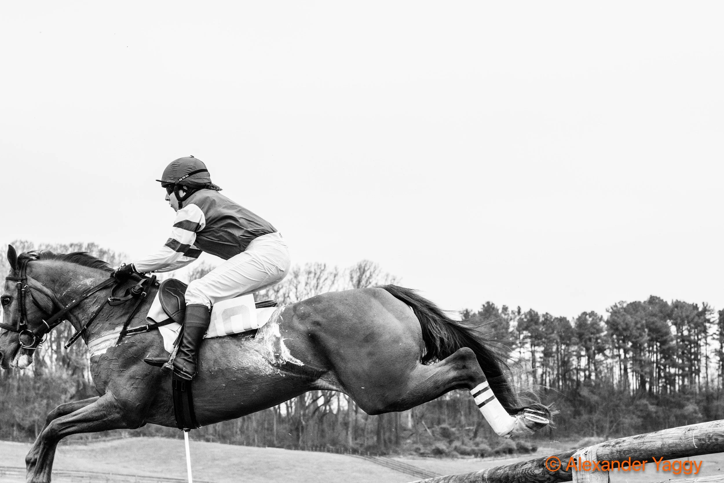 Grand National 2025-39.jpg