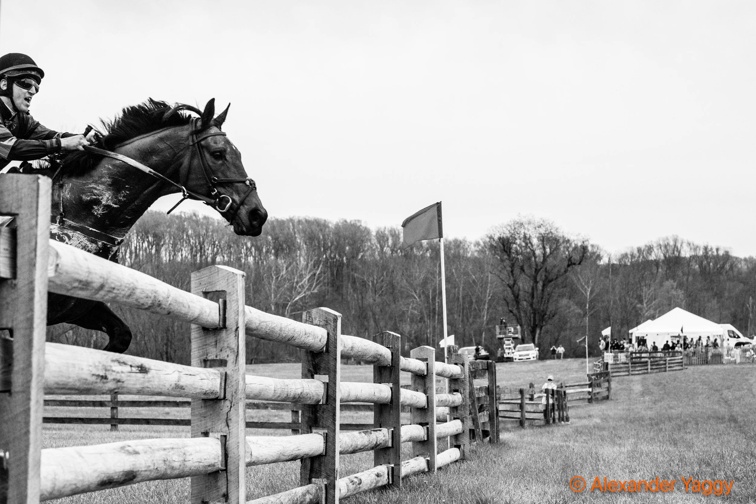 Grand National 2025-58.jpg