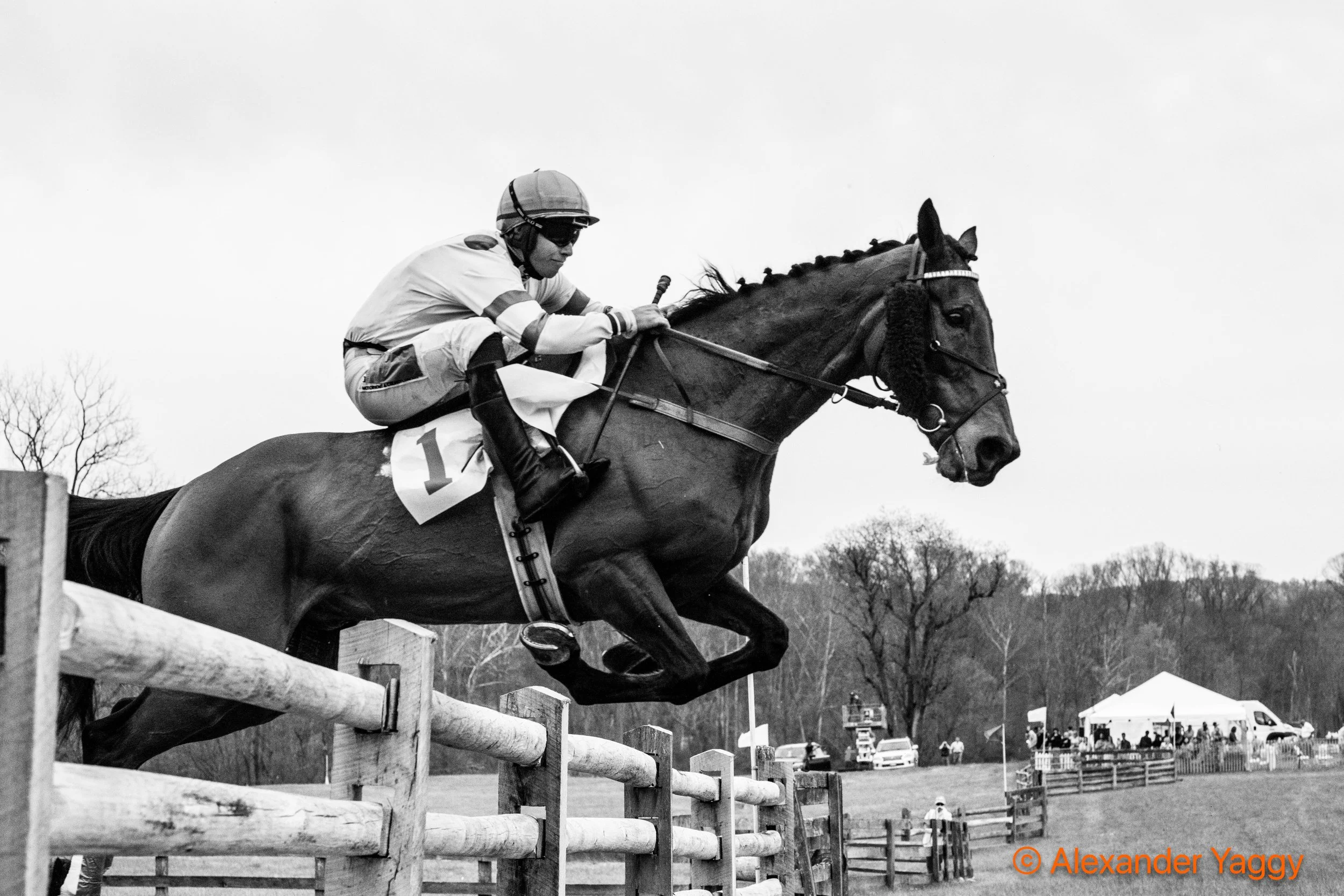 Grand National 2025-61.jpg