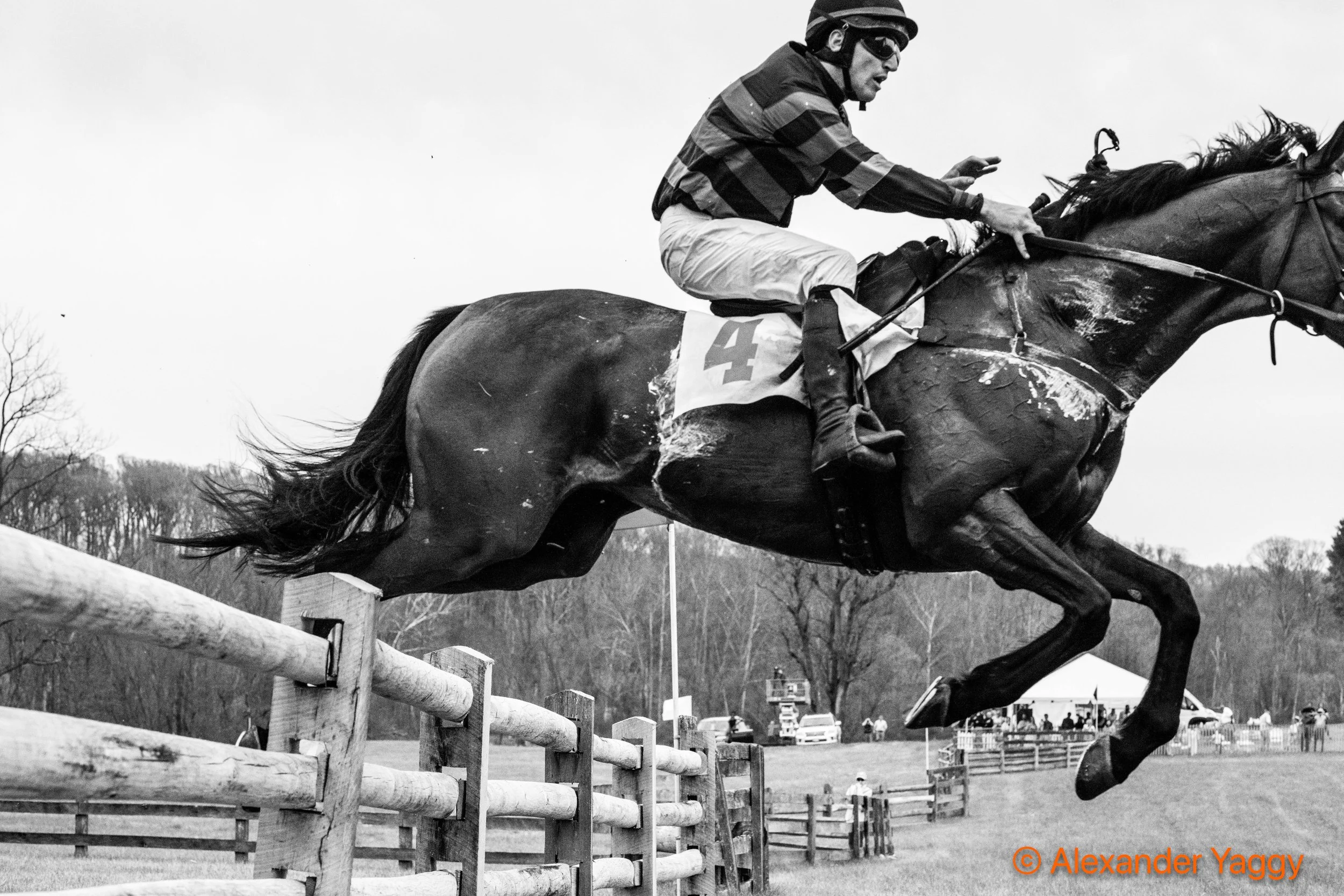 Grand National 2025-60.jpg