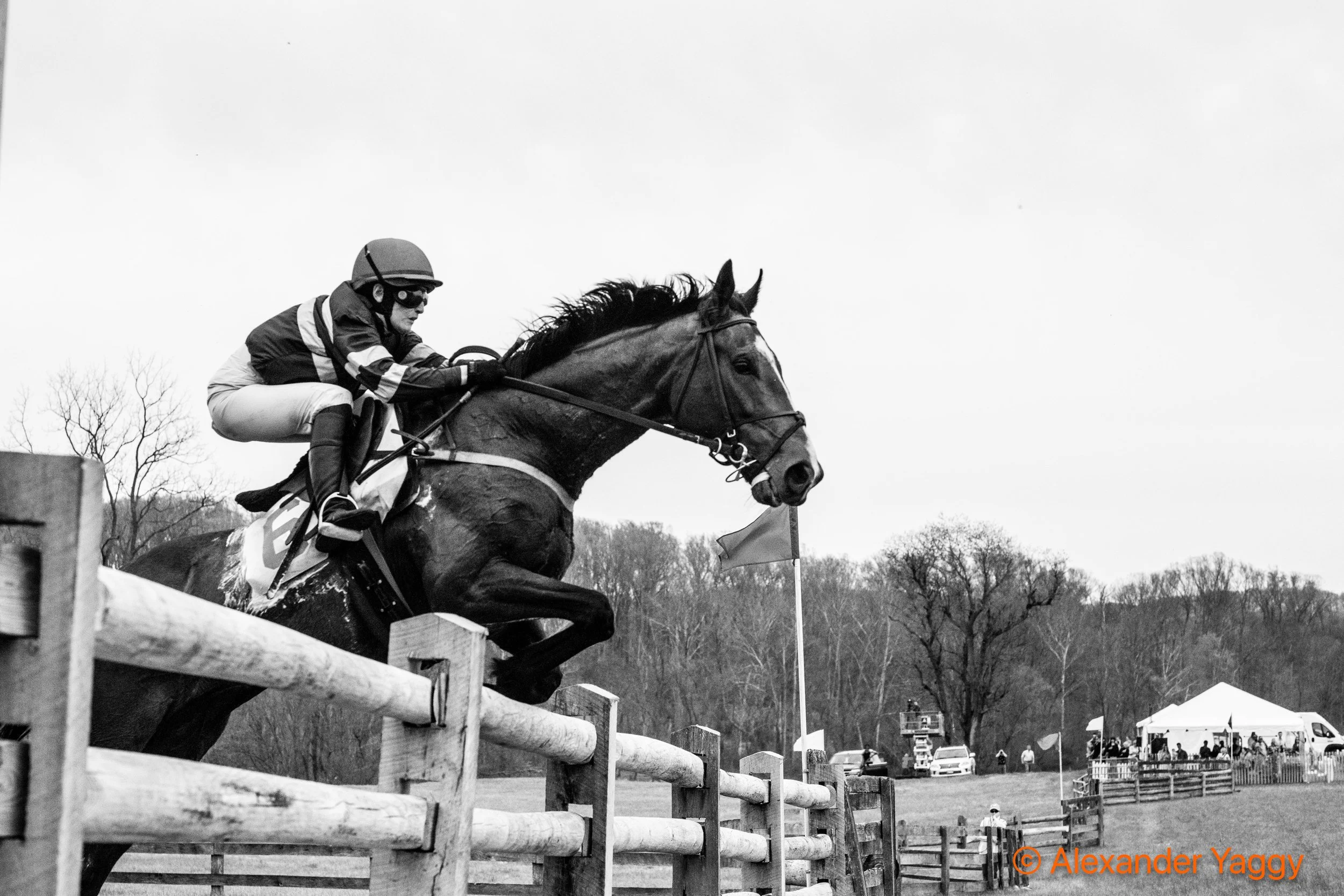 Grand National 2025-63.jpg