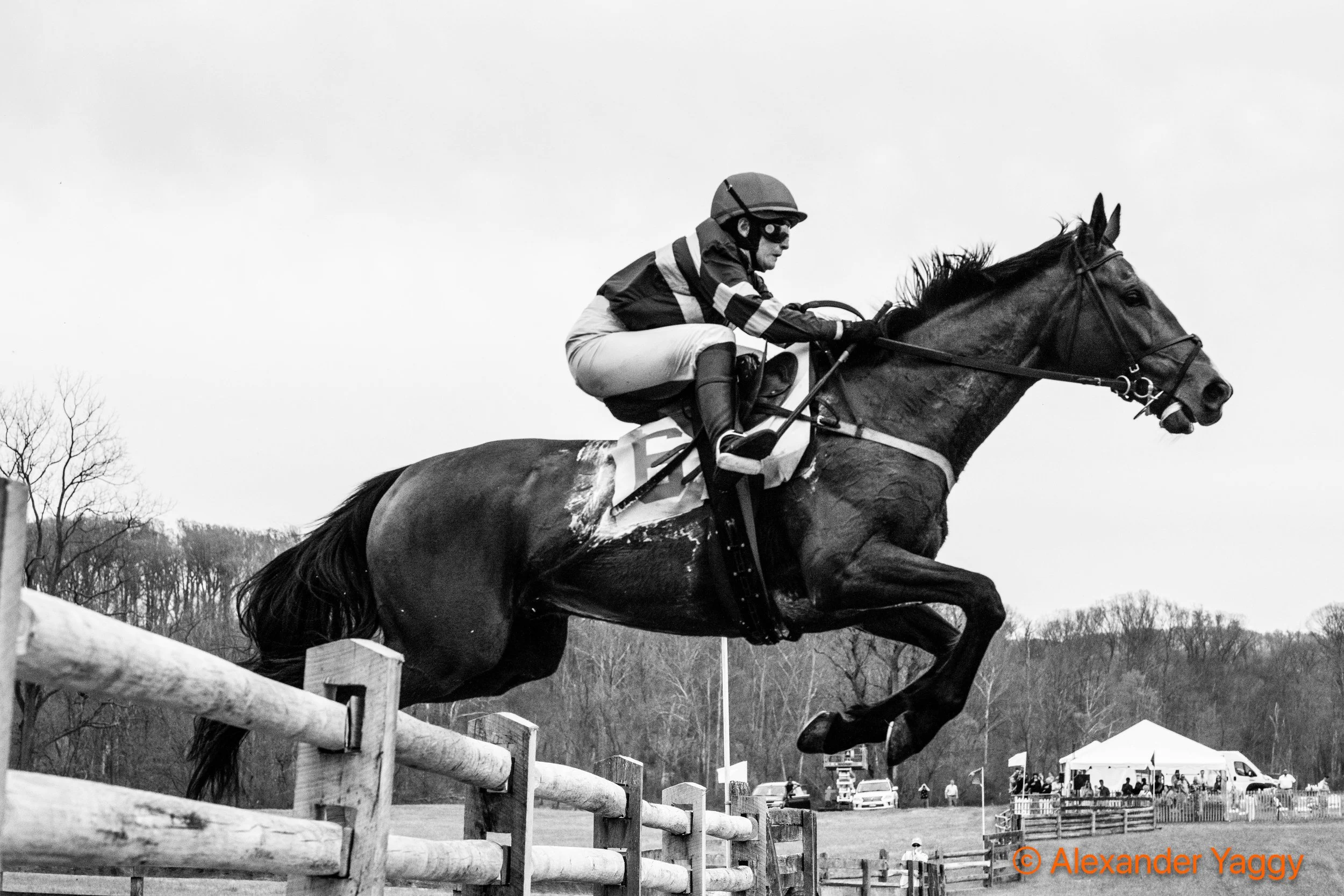 Grand National 2025-64.jpg