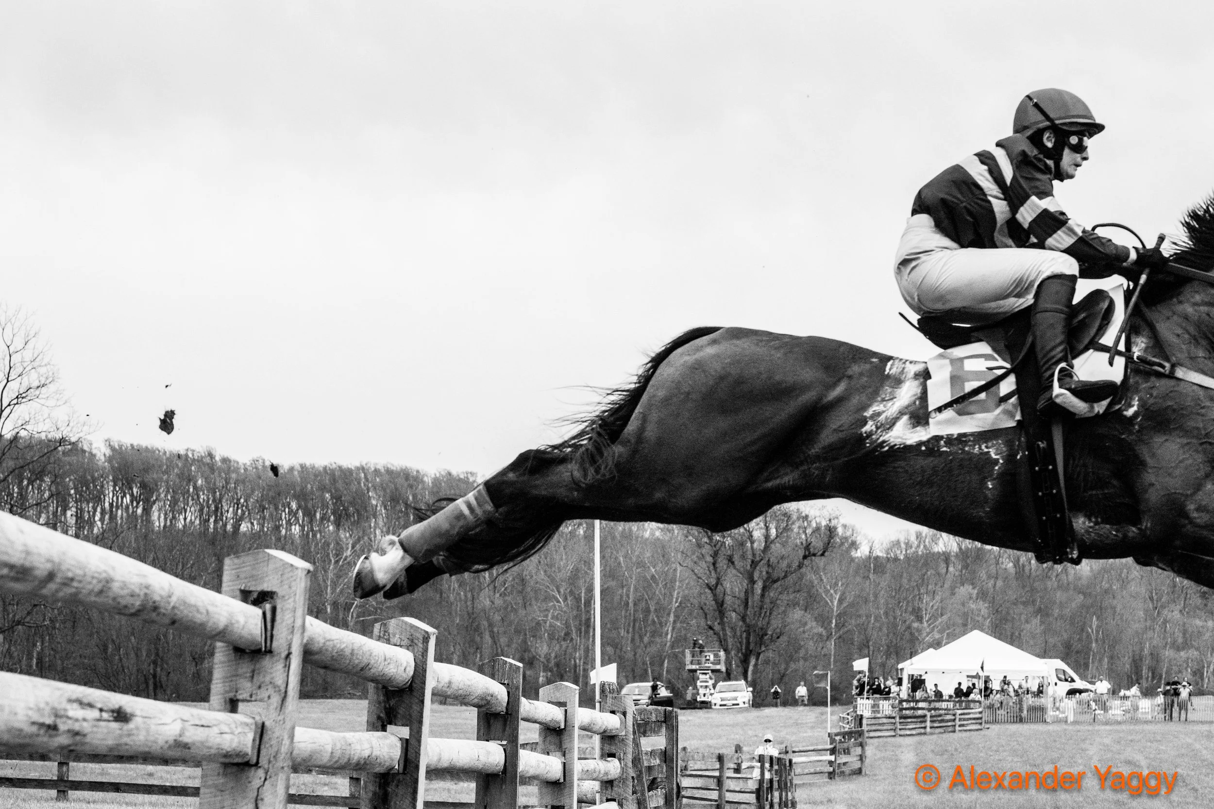 Grand National 2025-65.jpg