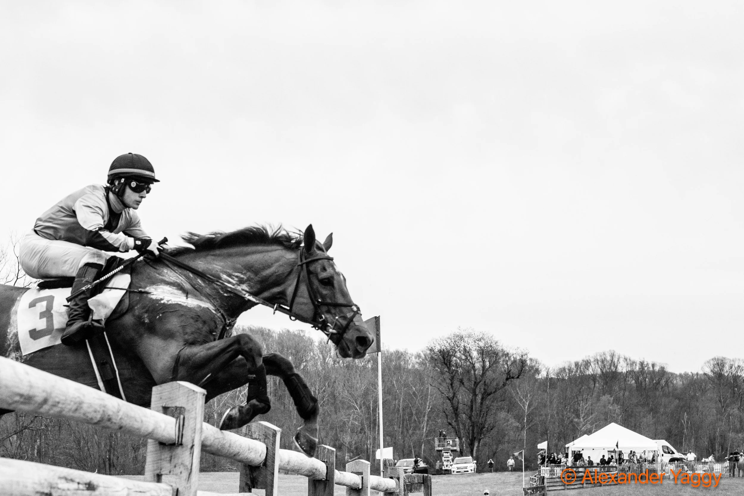 Grand National 2025-66.jpg