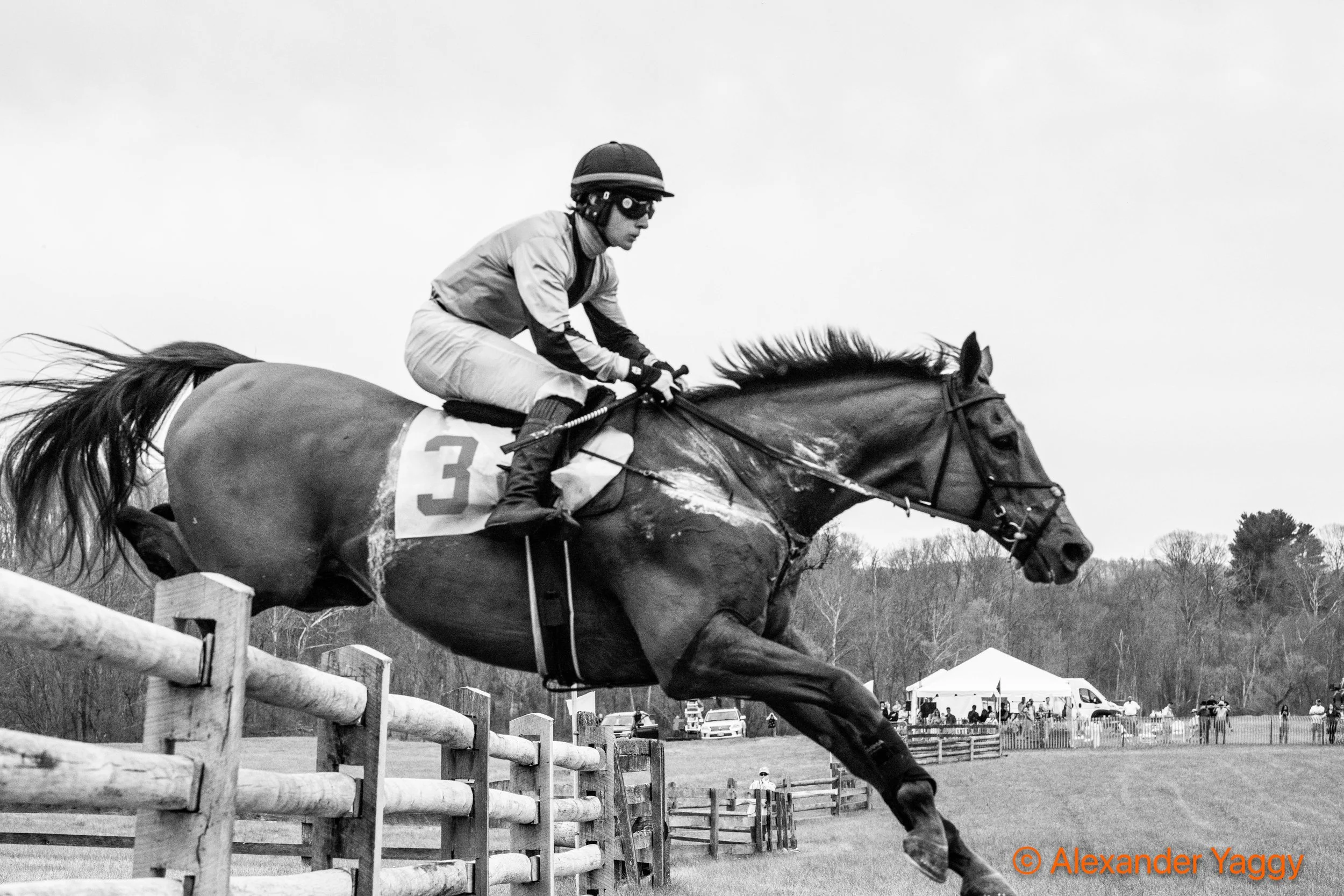 Grand National 2025-67.jpg