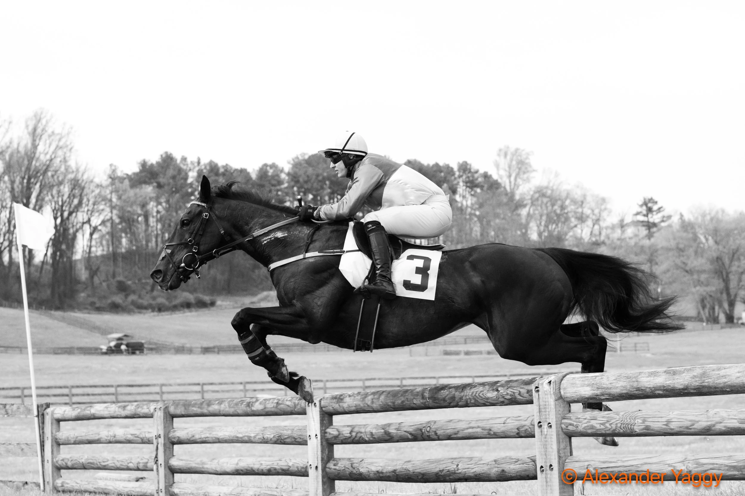 Grand National 2025-90.jpg