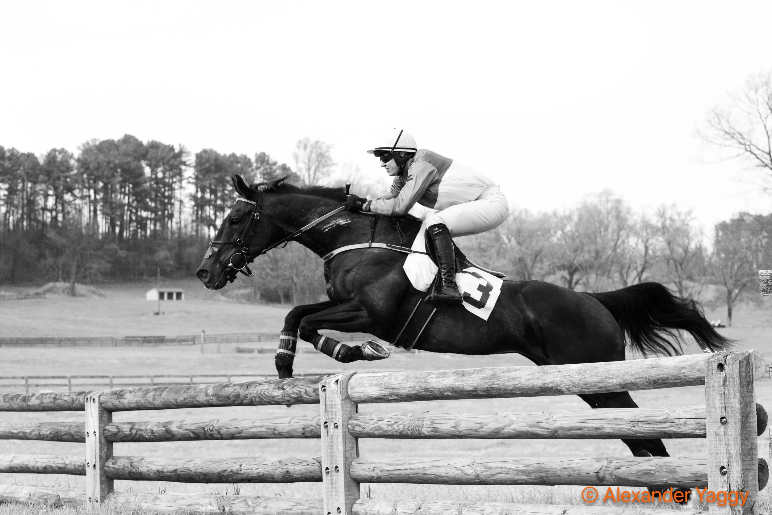 Grand National 2025-89.jpg