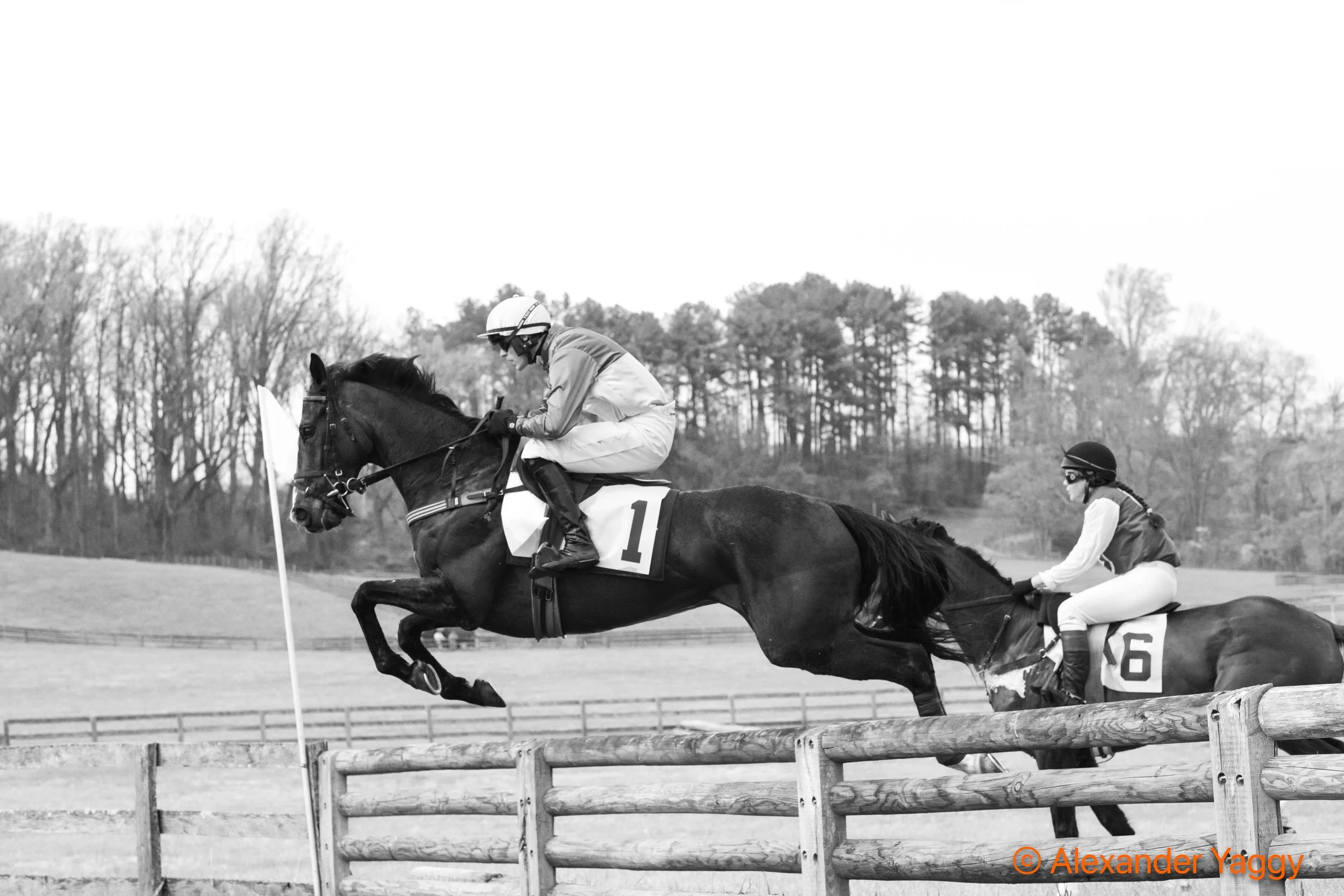 Grand National 2025-93.jpg