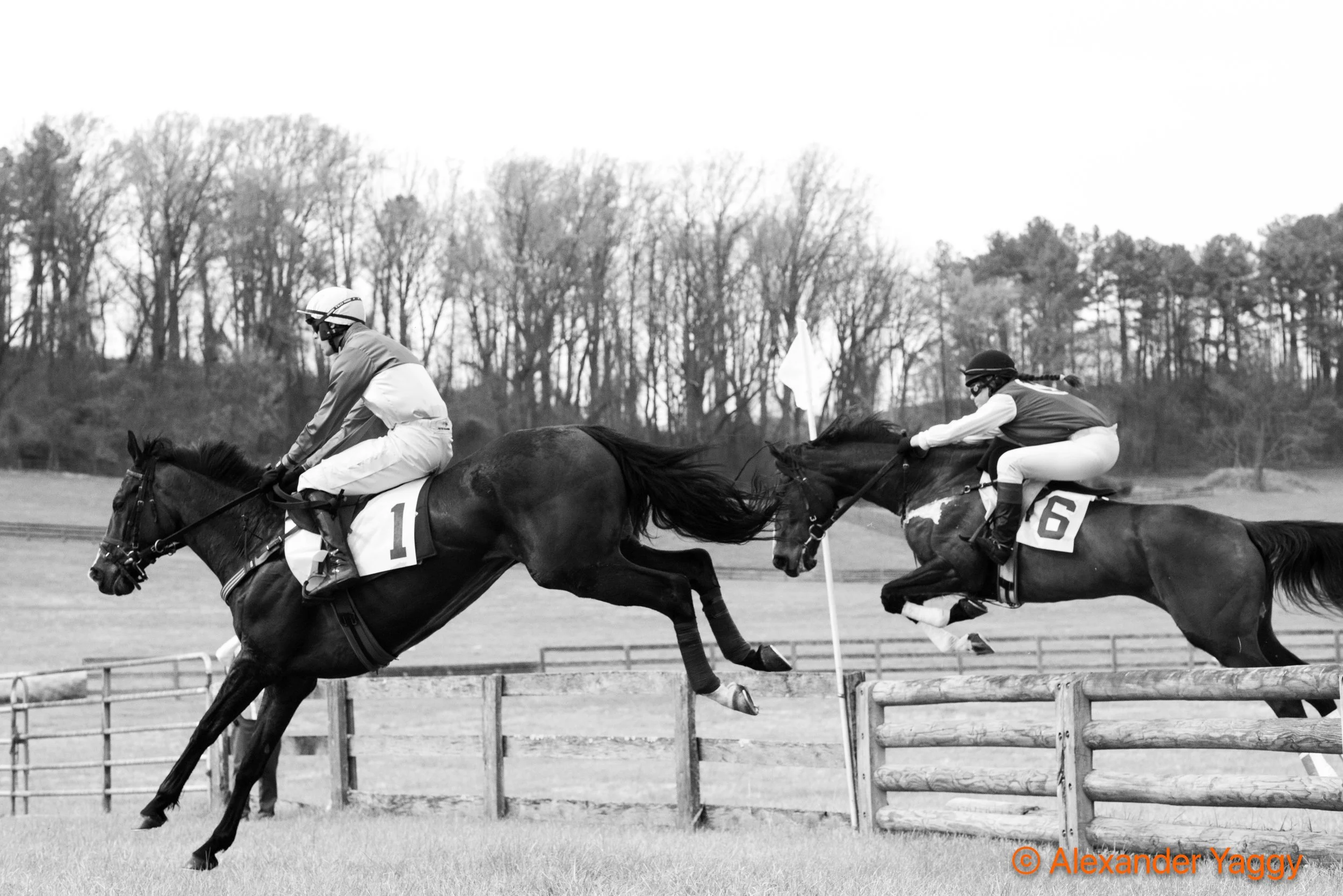 Grand National 2025-94.jpg