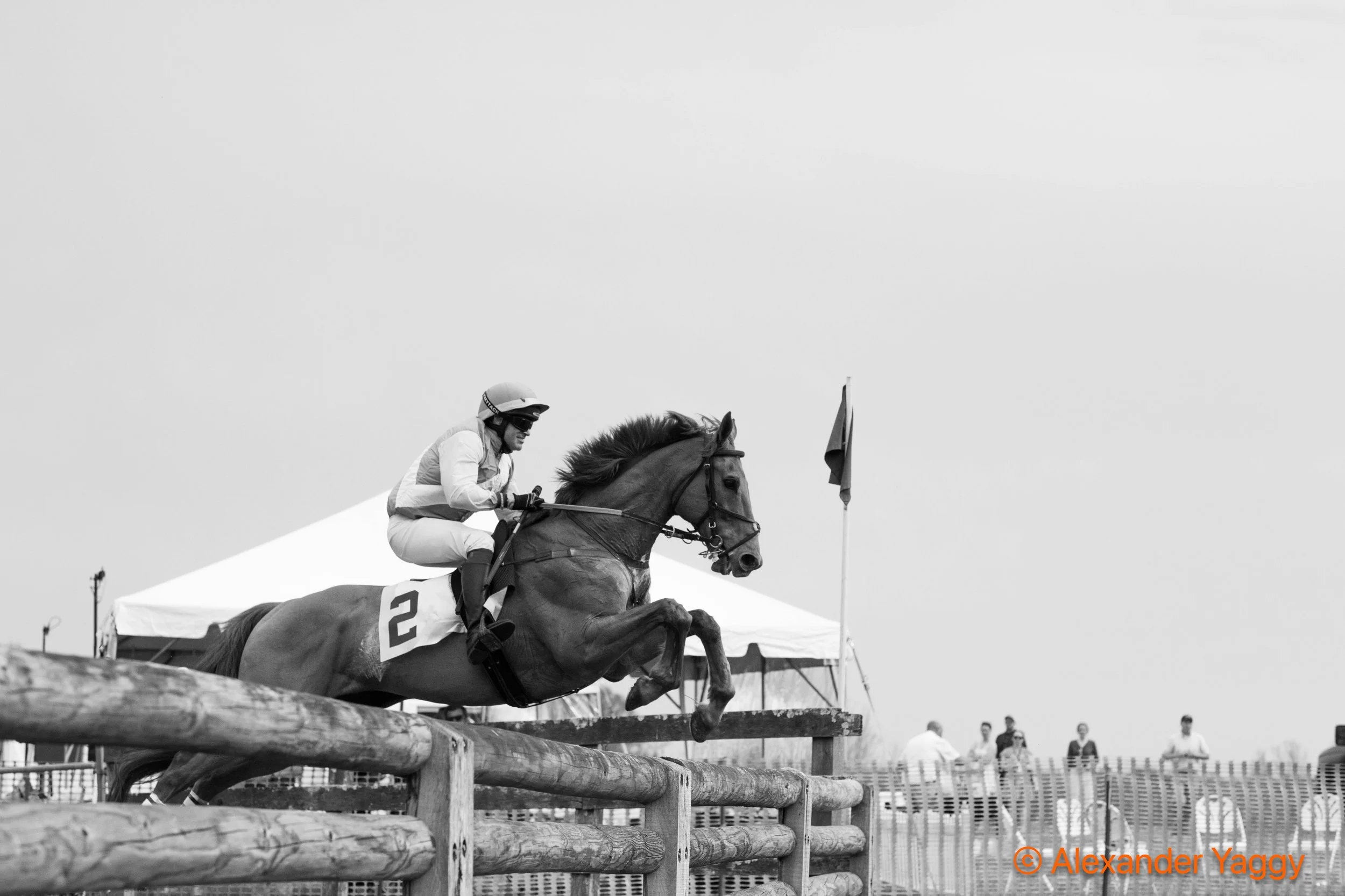 Grand National 2025-95.jpg