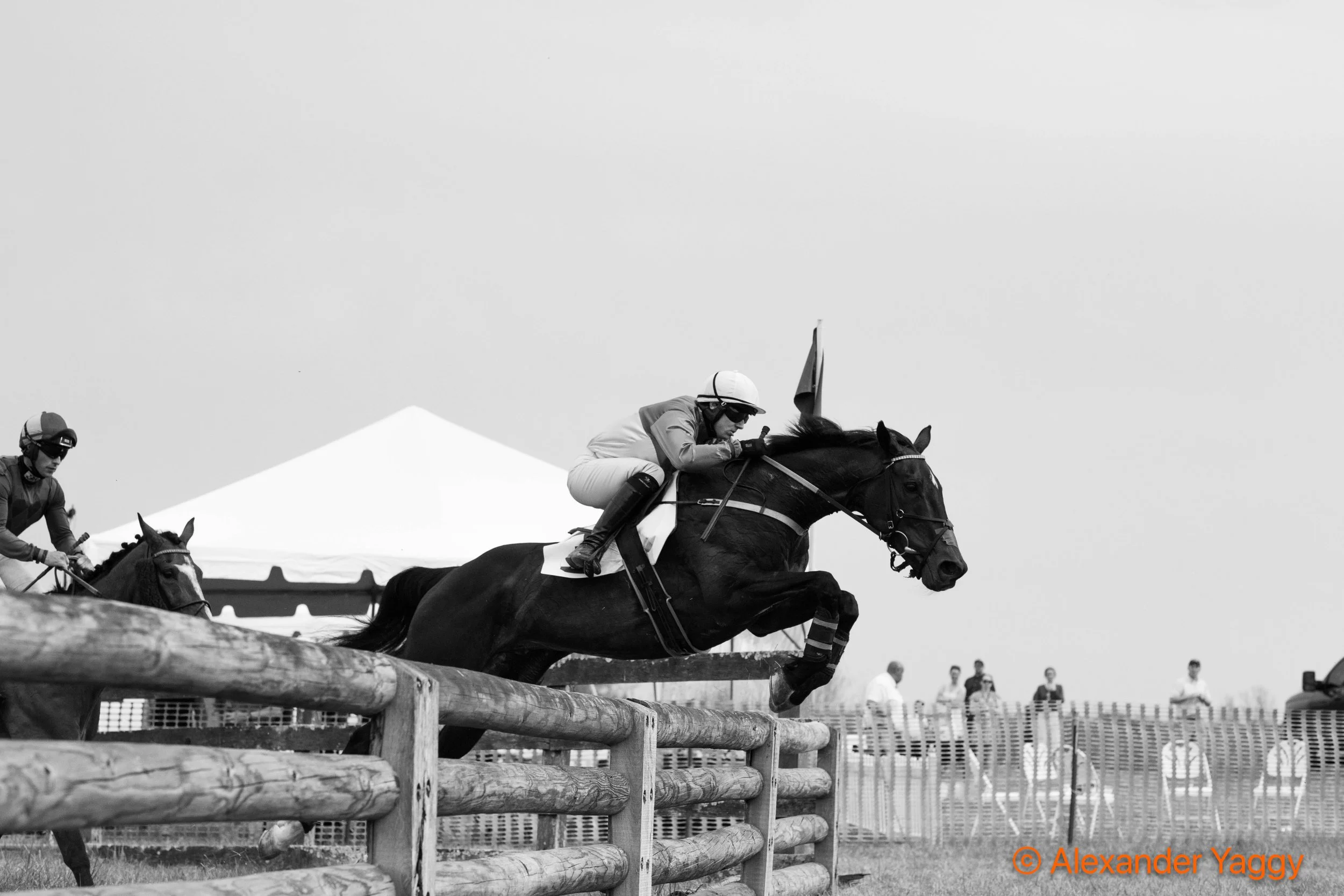 Grand National 2025-96.jpg