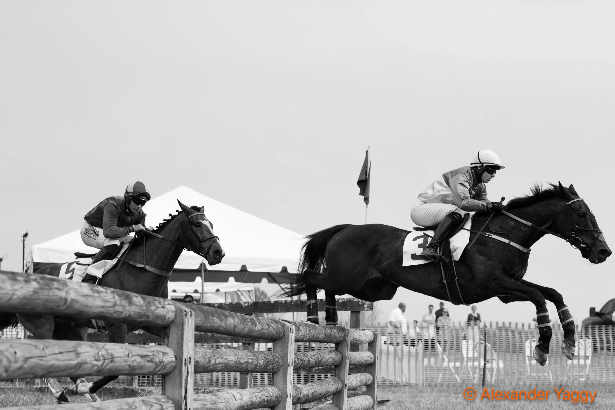 Grand National 2025-97.jpg