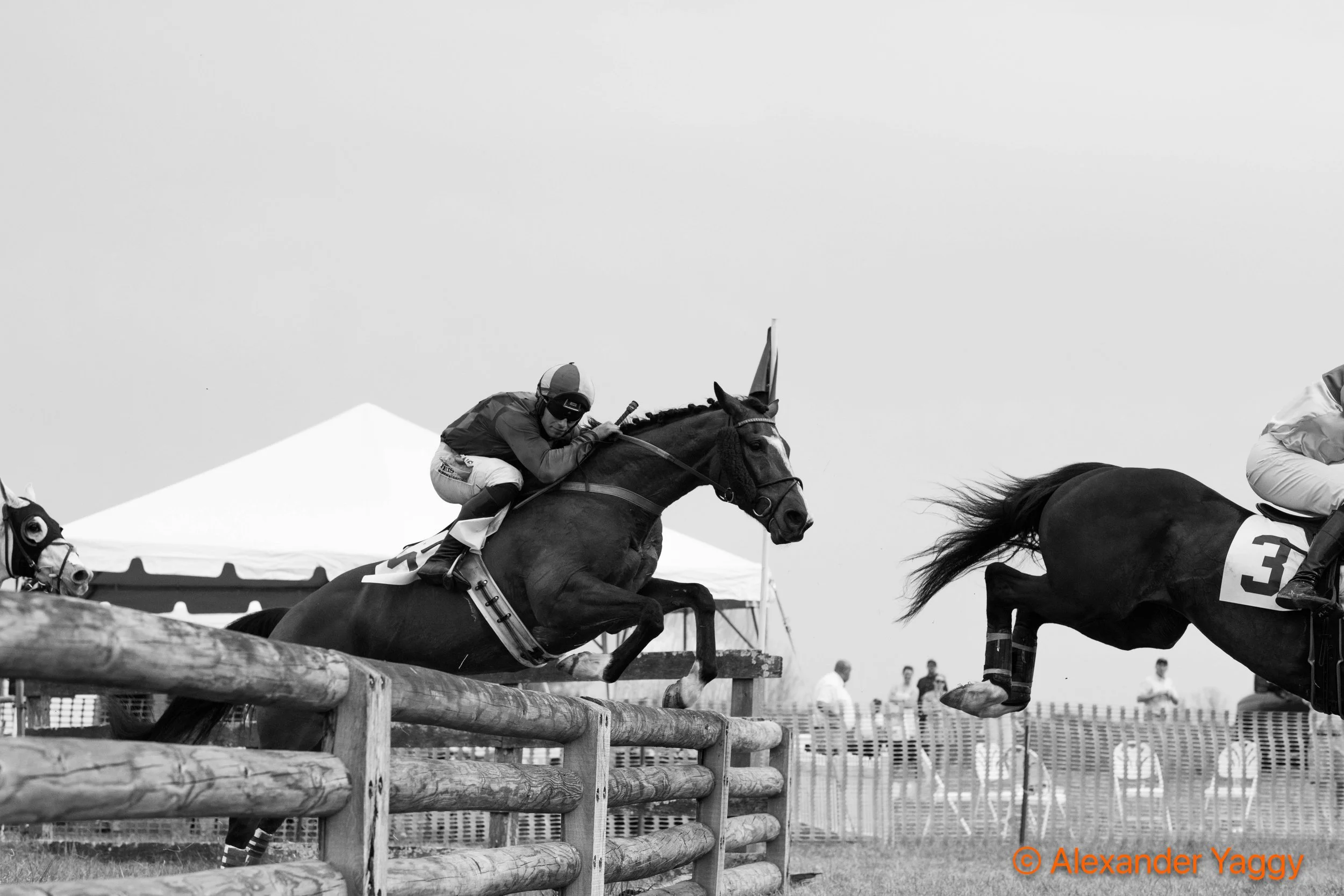 Grand National 2025-98.jpg