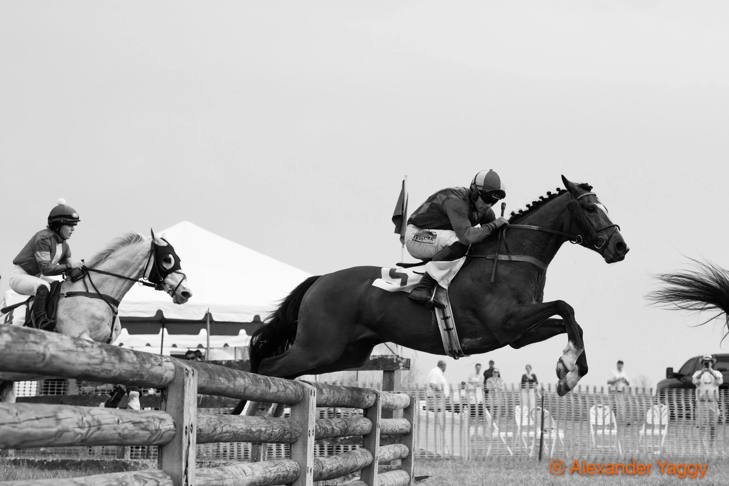 Grand National 2025-99.jpg