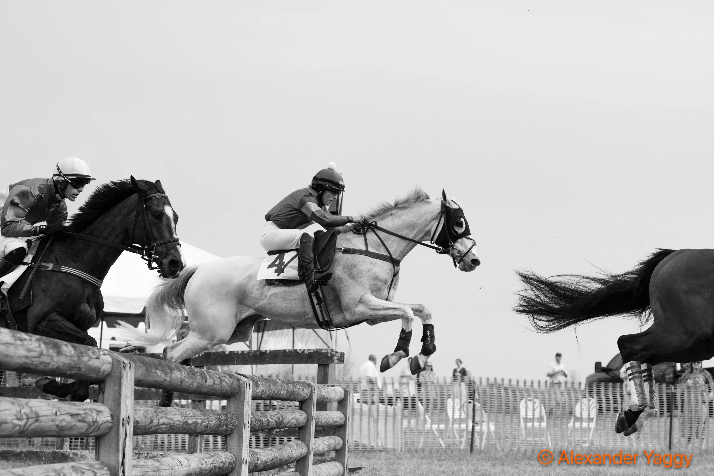 Grand National 2025-101.jpg