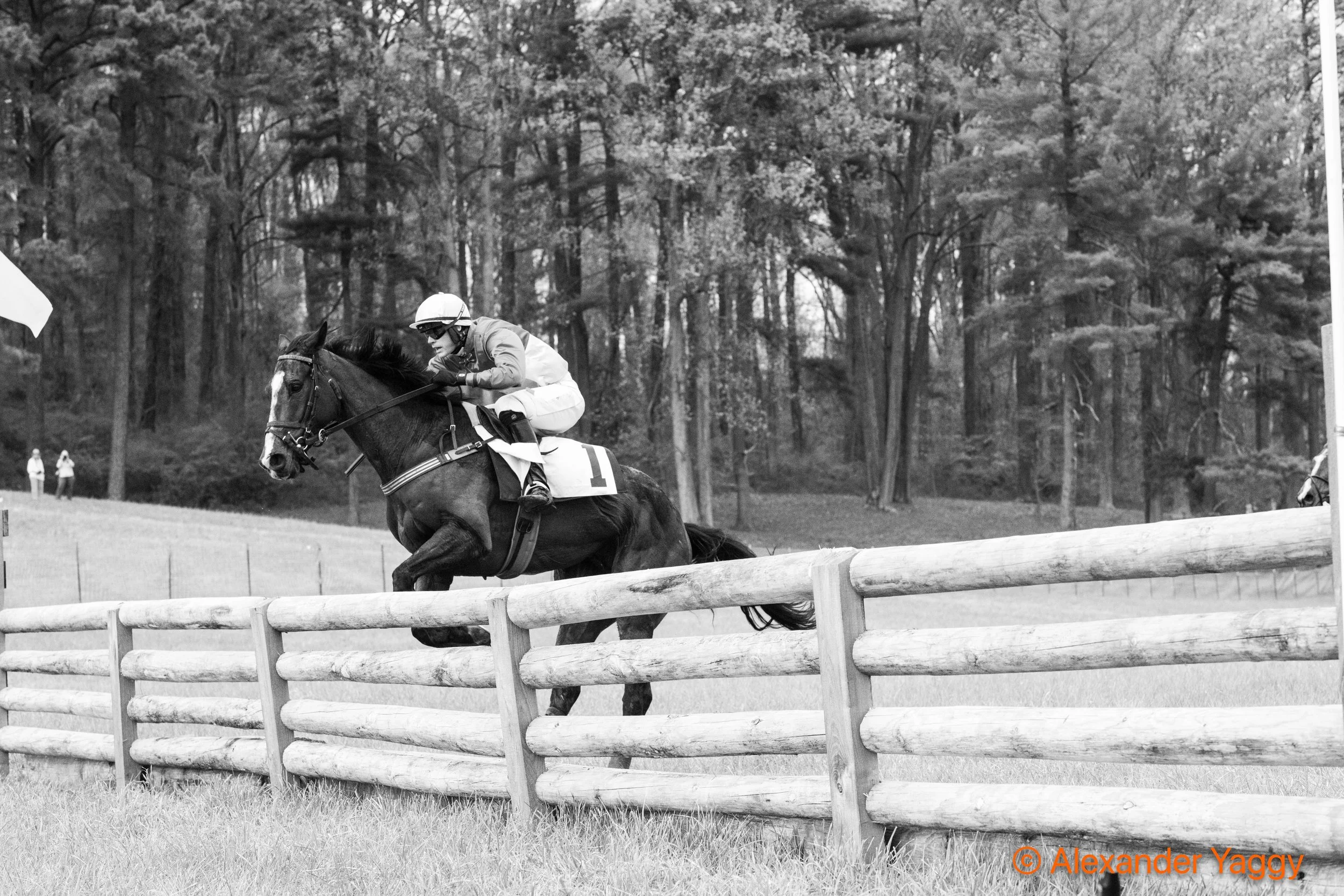 Grand National 2025-103.jpg