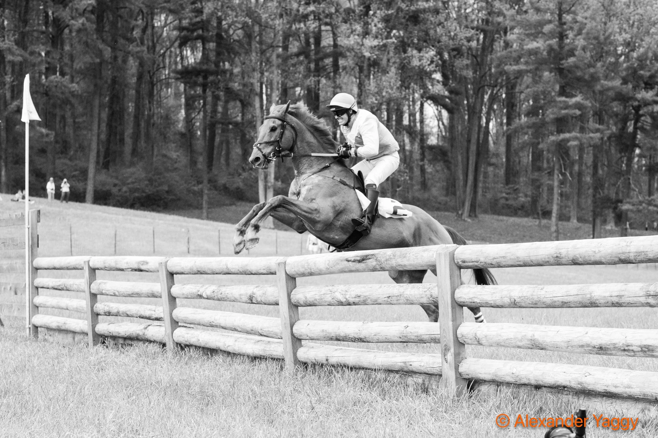 Grand National 2025-105.jpg