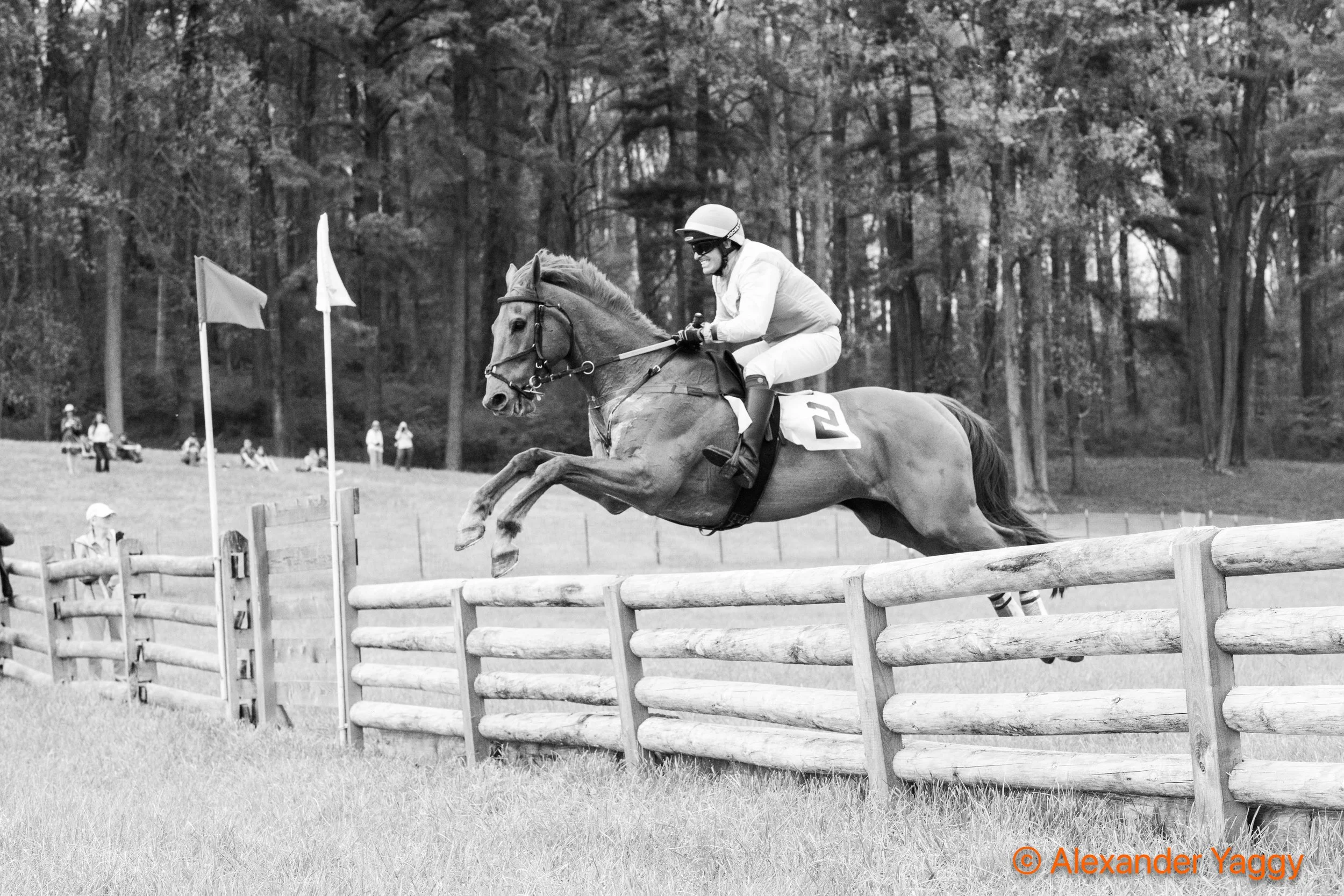 Grand National 2025-106.jpg