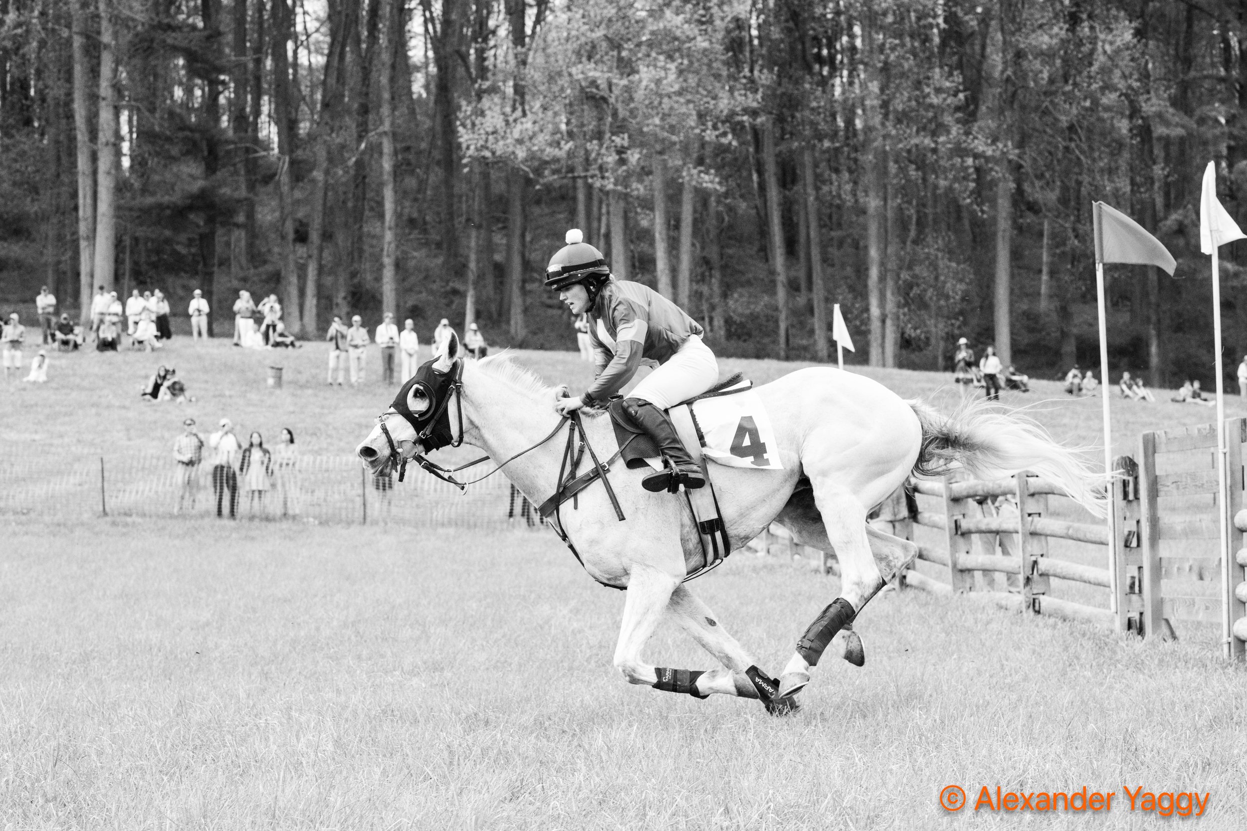 Grand National 2025-108.jpg