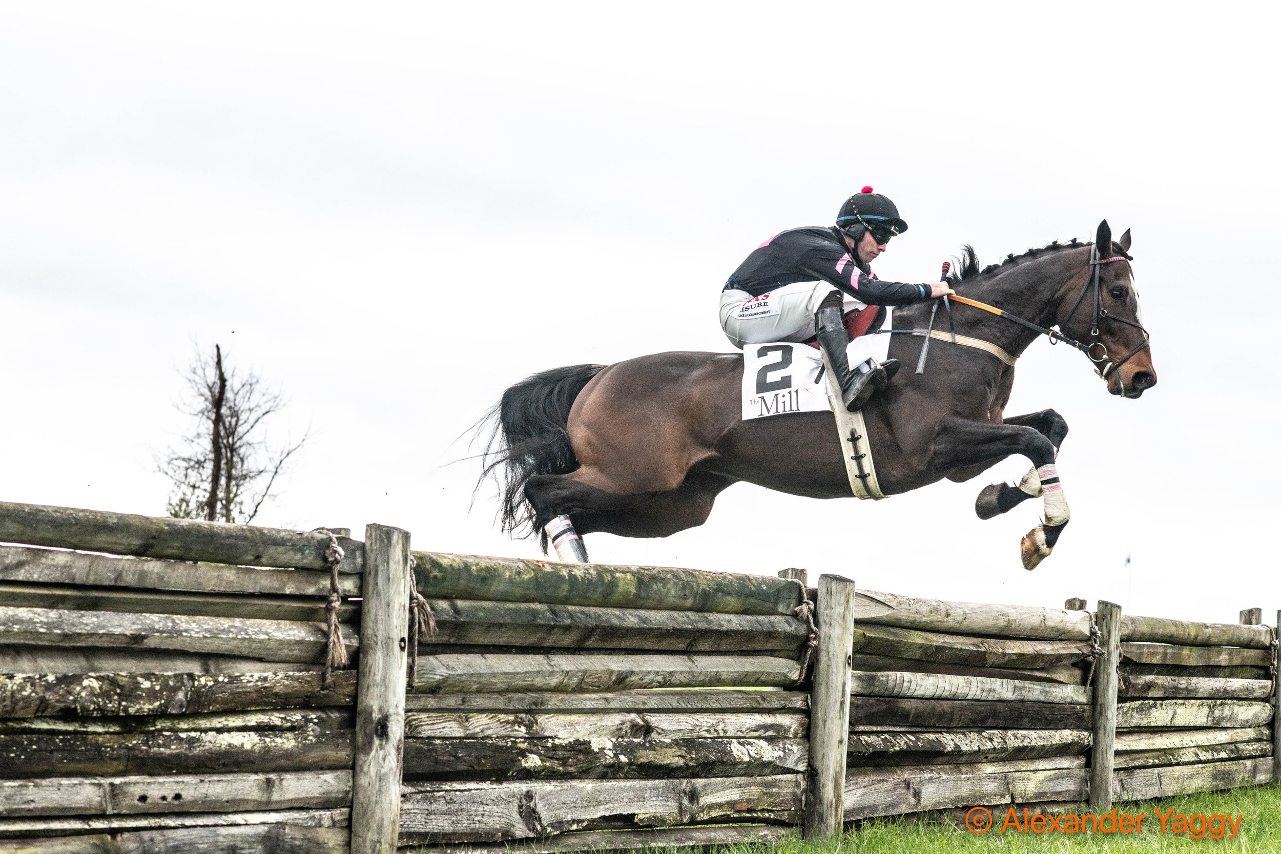 2025 Manor Races Color