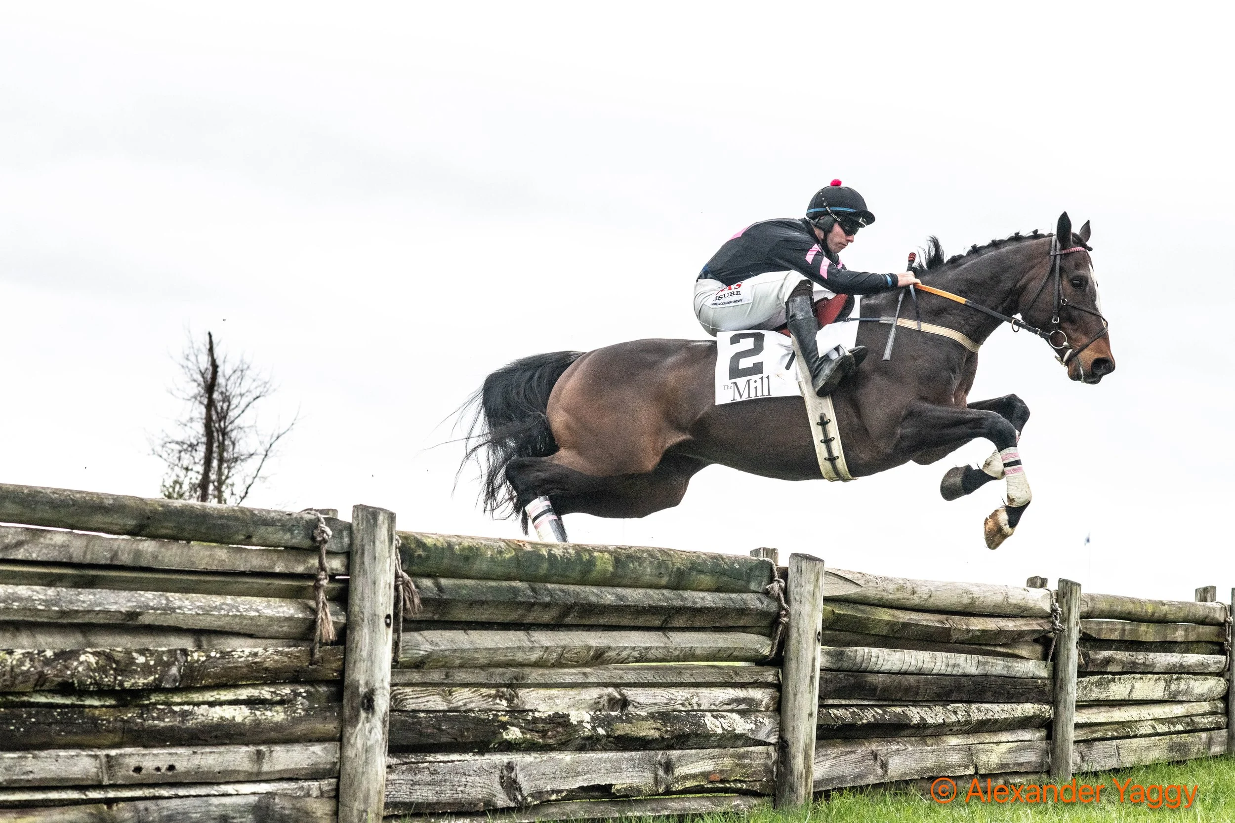 MLM 2025_Color-56.jpg