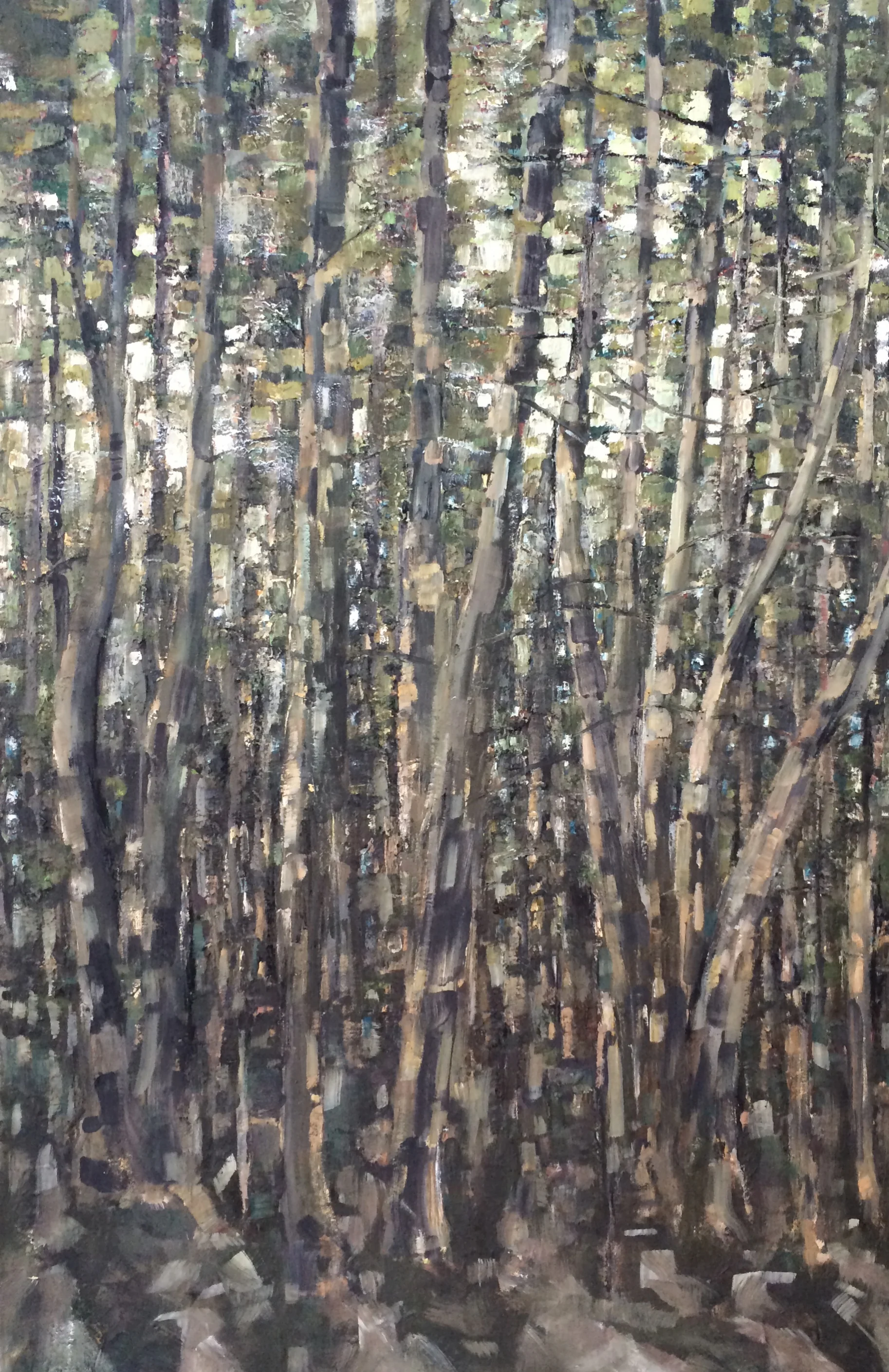 Beaver Island Cedar Swamp
