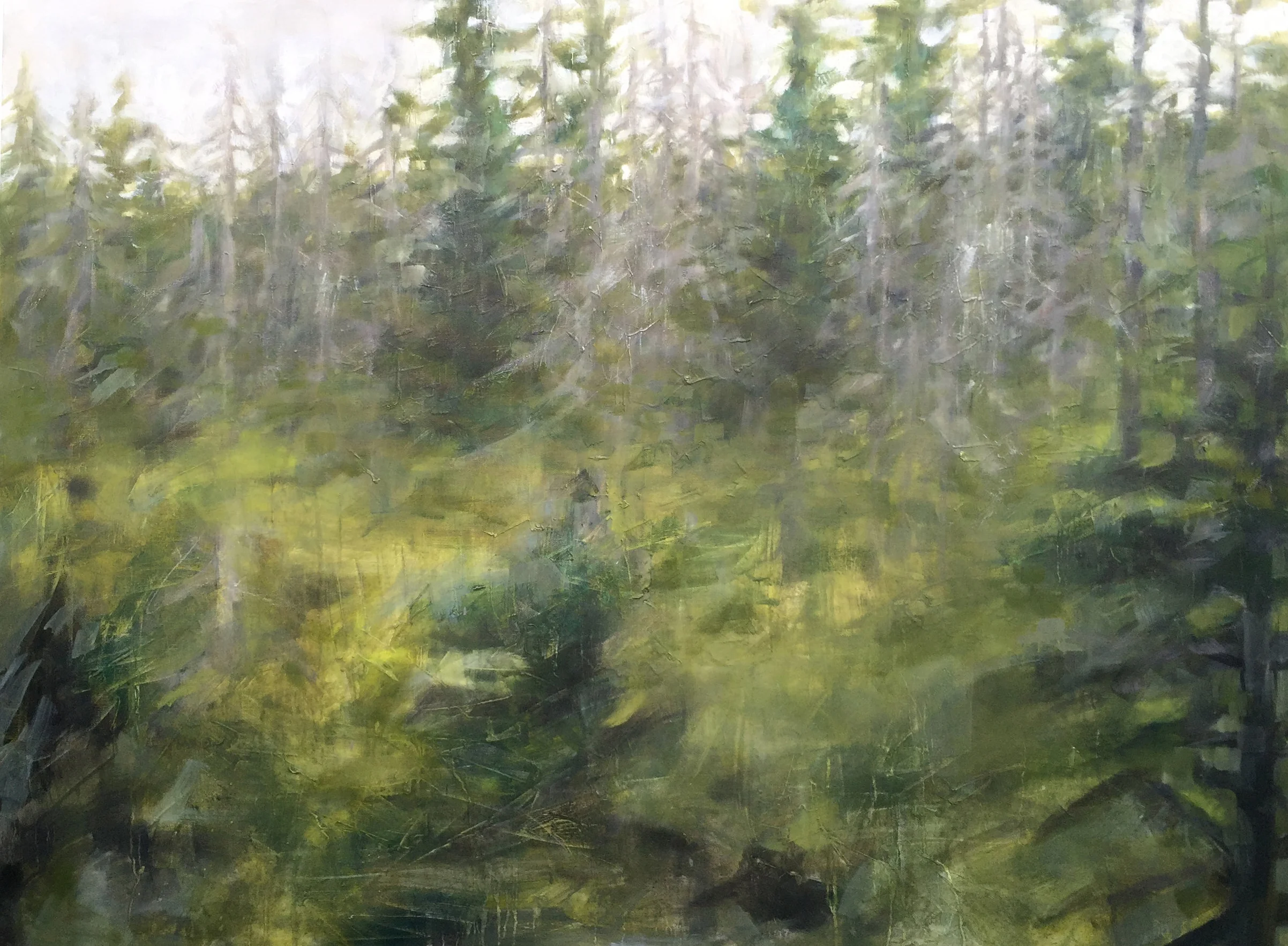 Drummond Island