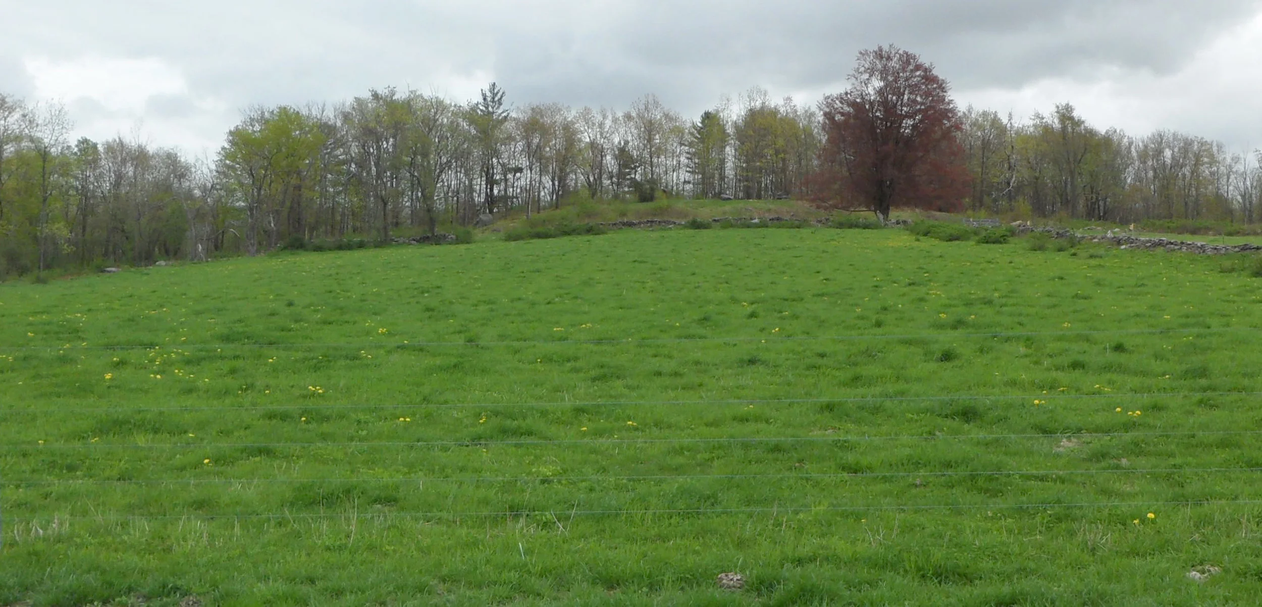 Spring pasture, Hardwick, Massachusetts