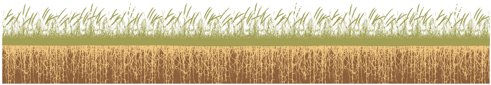 logo grass roots.jpg