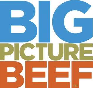 120716BigPictureSmallColorTypeLogo.jpg