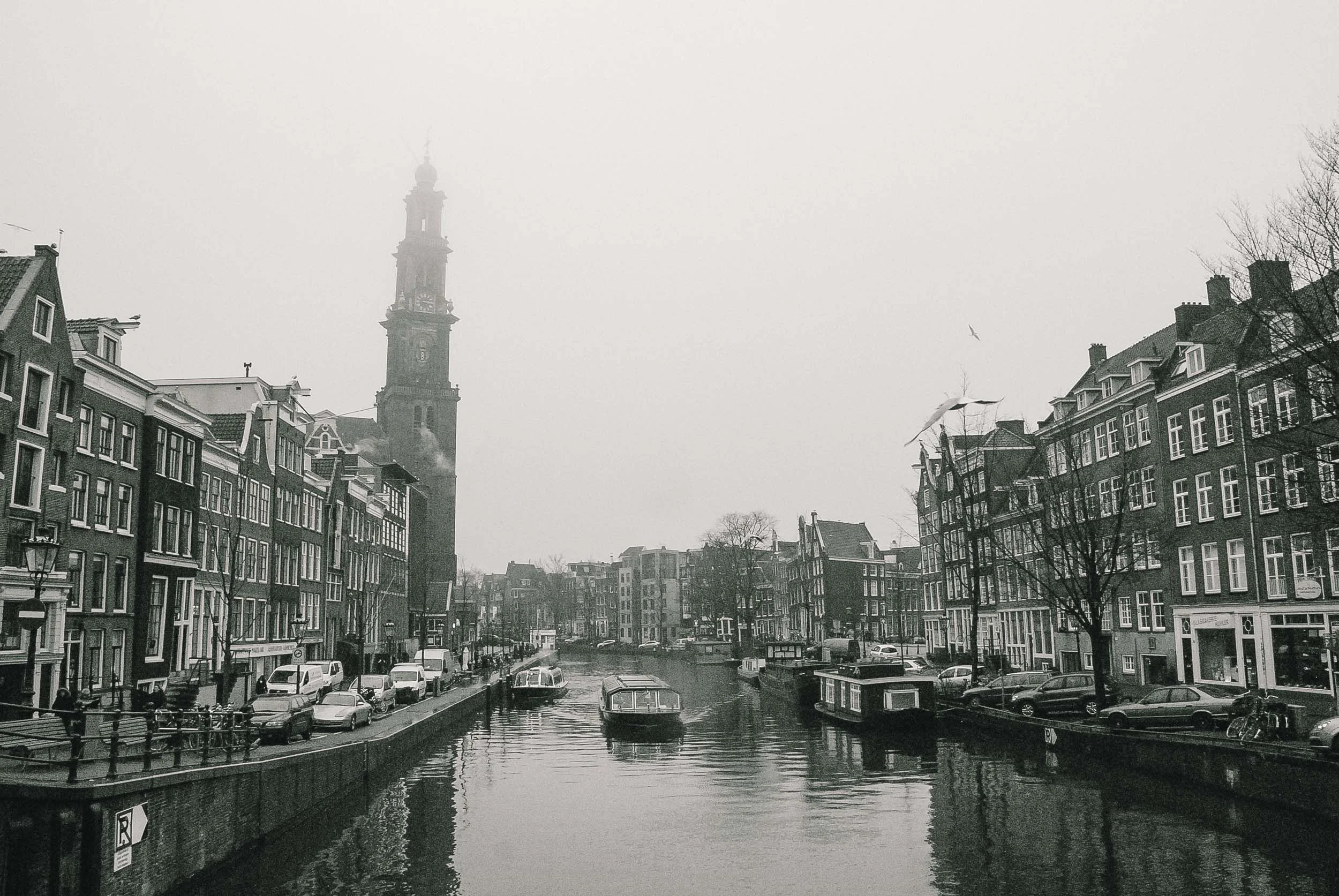 DSC_0119.jpg