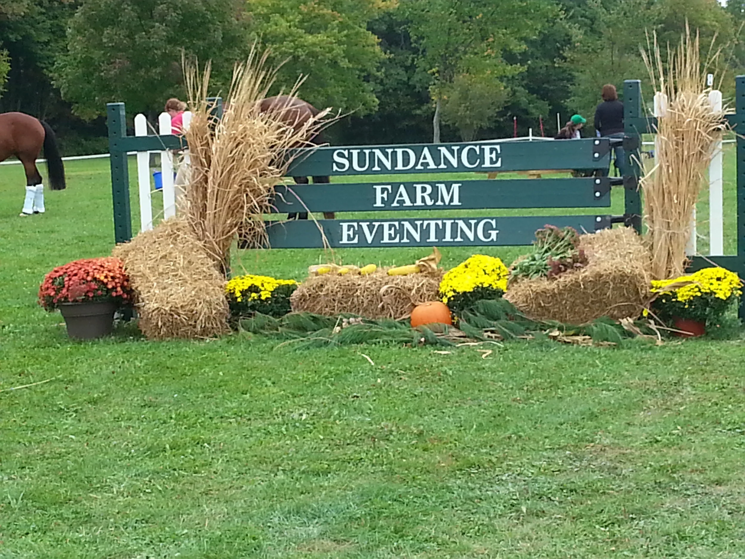 Sundance Farm Focal Jump.jpg
