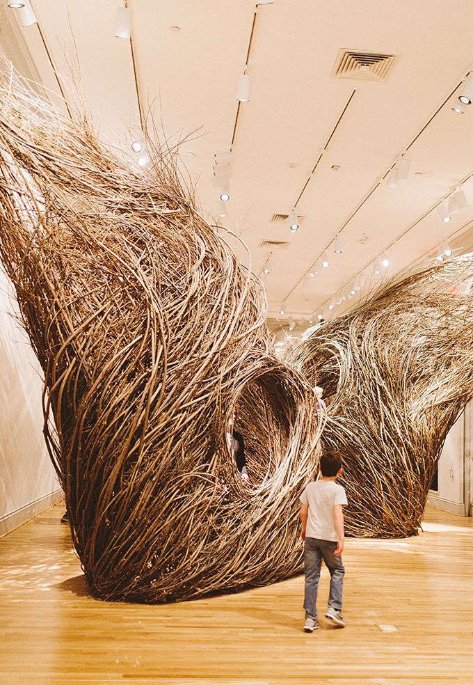 renwick-gallery-nests.jpg